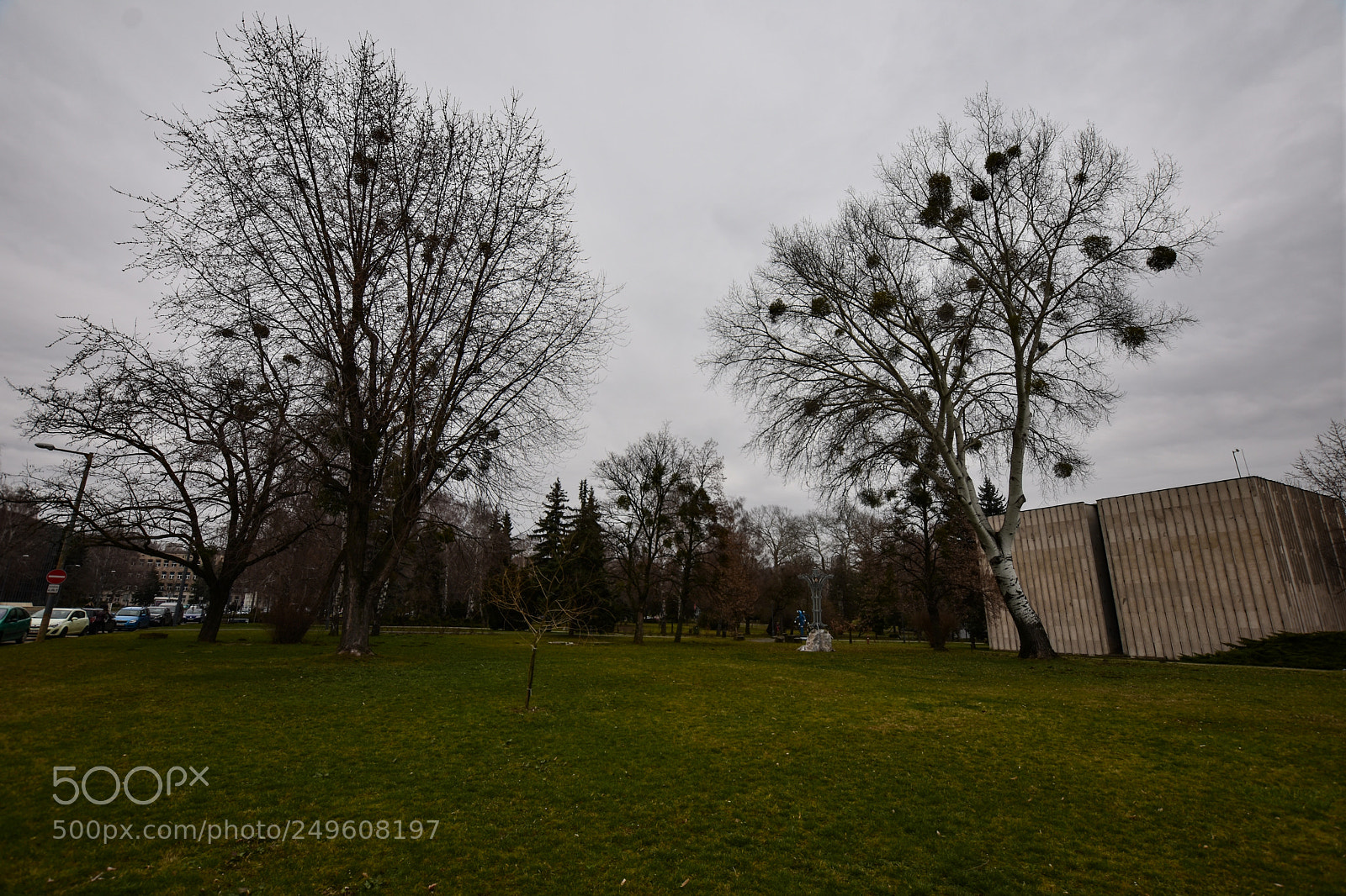 Nikon D7200 sample photo. Untitled photography