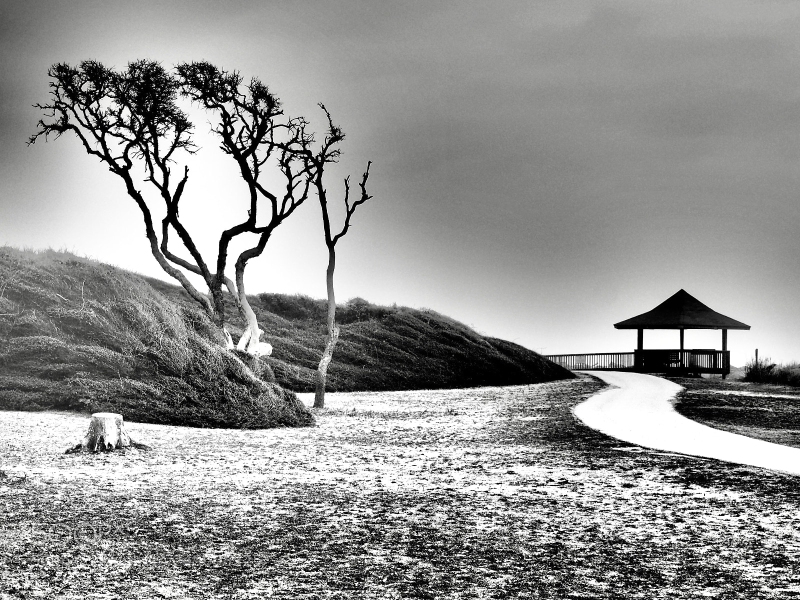 Olympus PEN E-PL6 sample photo. One cold morning photography