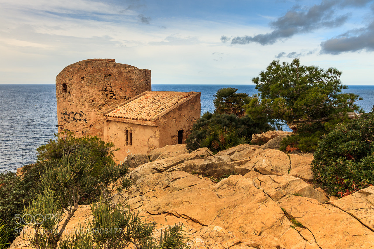 Canon EOS 80D sample photo. The old watchtower photography
