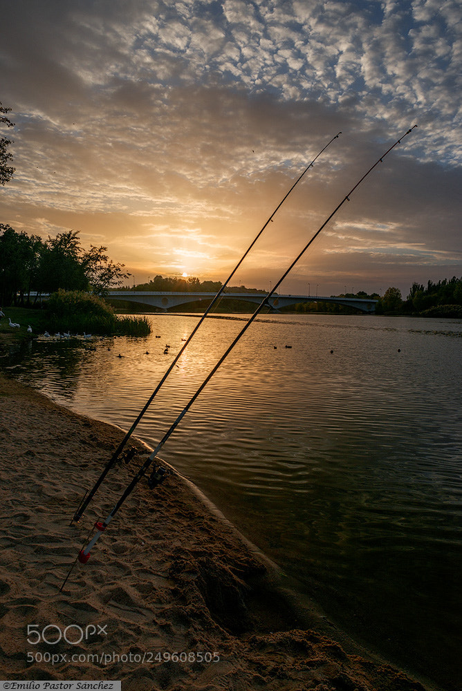 Nikon D800 sample photo. Copia photography