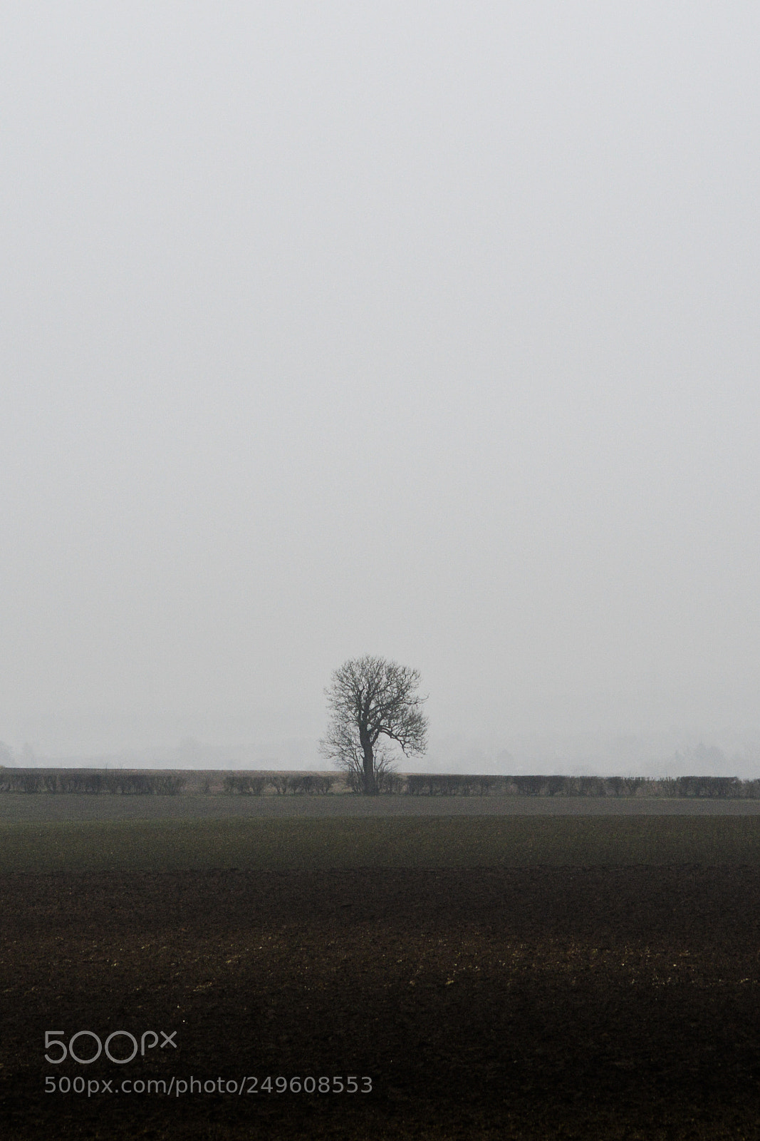 Nikon D3200 sample photo. Lone oak photography