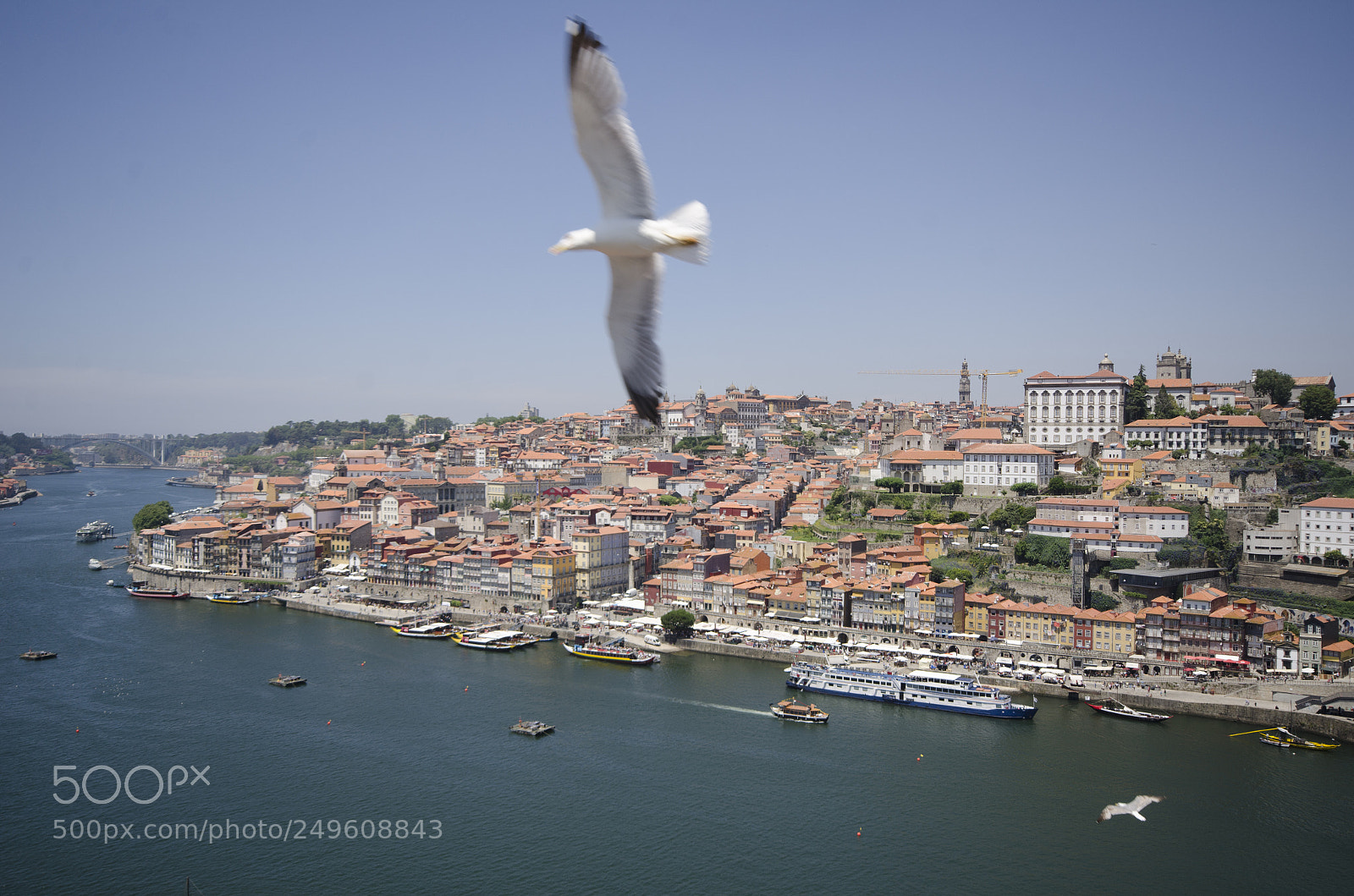 Nikon D7000 sample photo. Porto photography