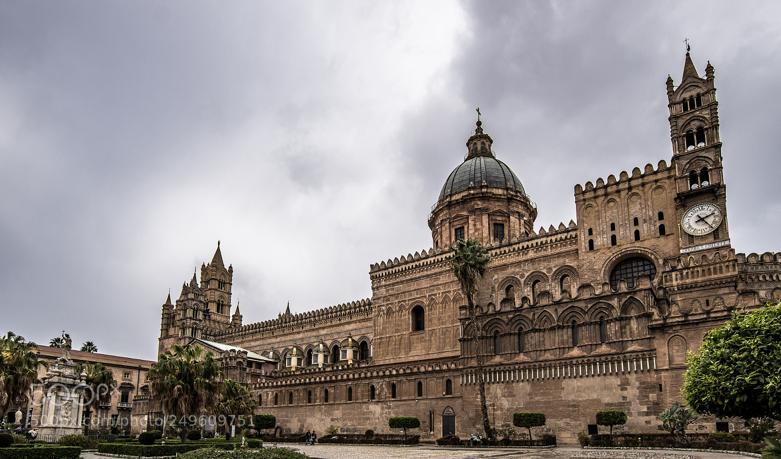 Sony SLT-A58 sample photo. Imperious palermo photography