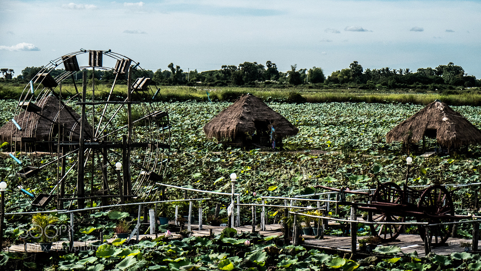 Panasonic Lumix DMC-GX85 (Lumix DMC-GX80 / Lumix DMC-GX7 Mark II) sample photo. Plantation photography
