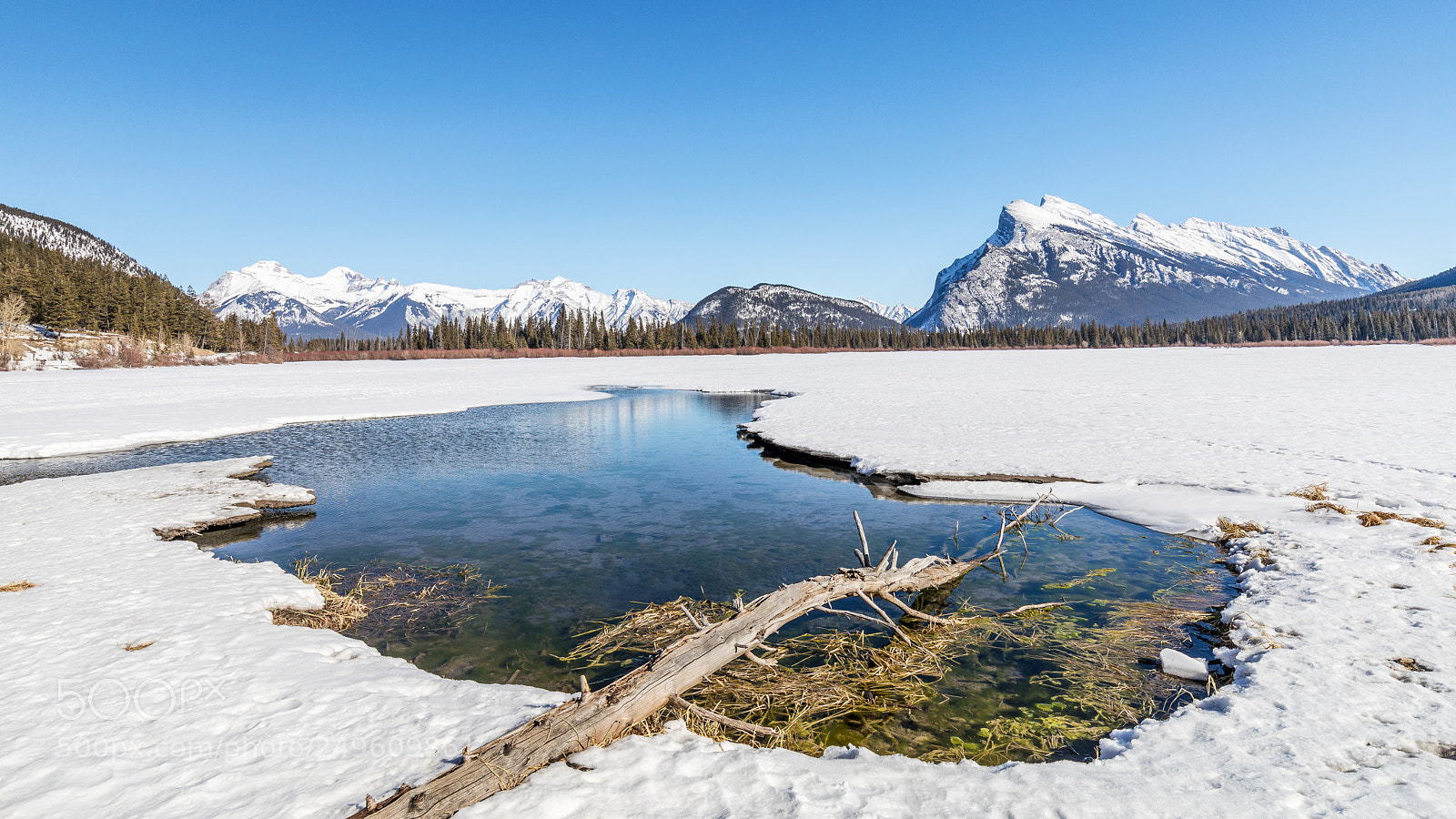 Canon EOS 5D Mark IV sample photo. Open water photography
