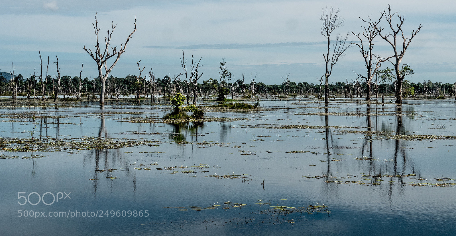 Panasonic Lumix DMC-GX85 (Lumix DMC-GX80 / Lumix DMC-GX7 Mark II) sample photo. Waterland photography