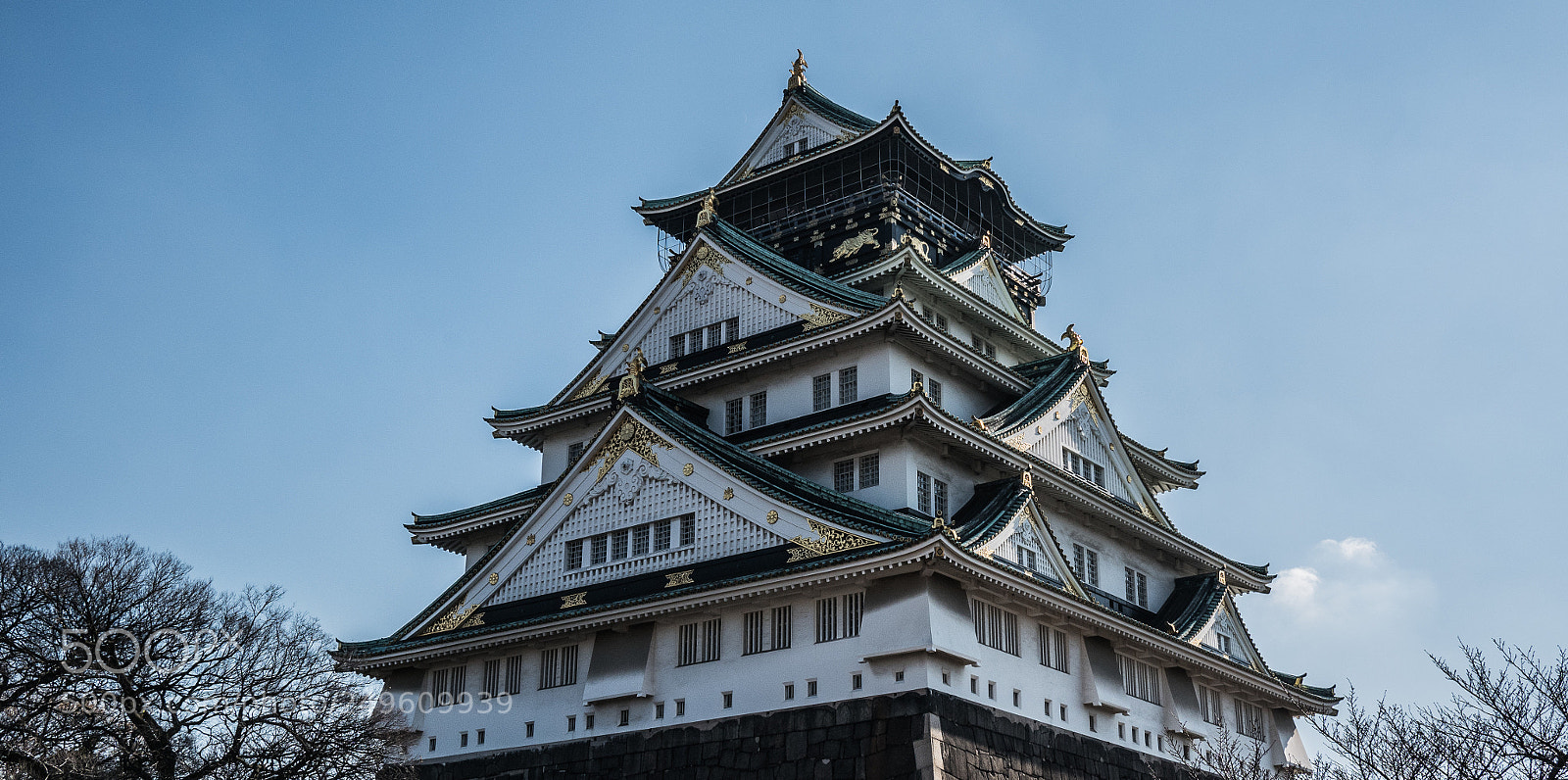 Panasonic Lumix DMC-GX85 (Lumix DMC-GX80 / Lumix DMC-GX7 Mark II) sample photo. Japanese castle photography