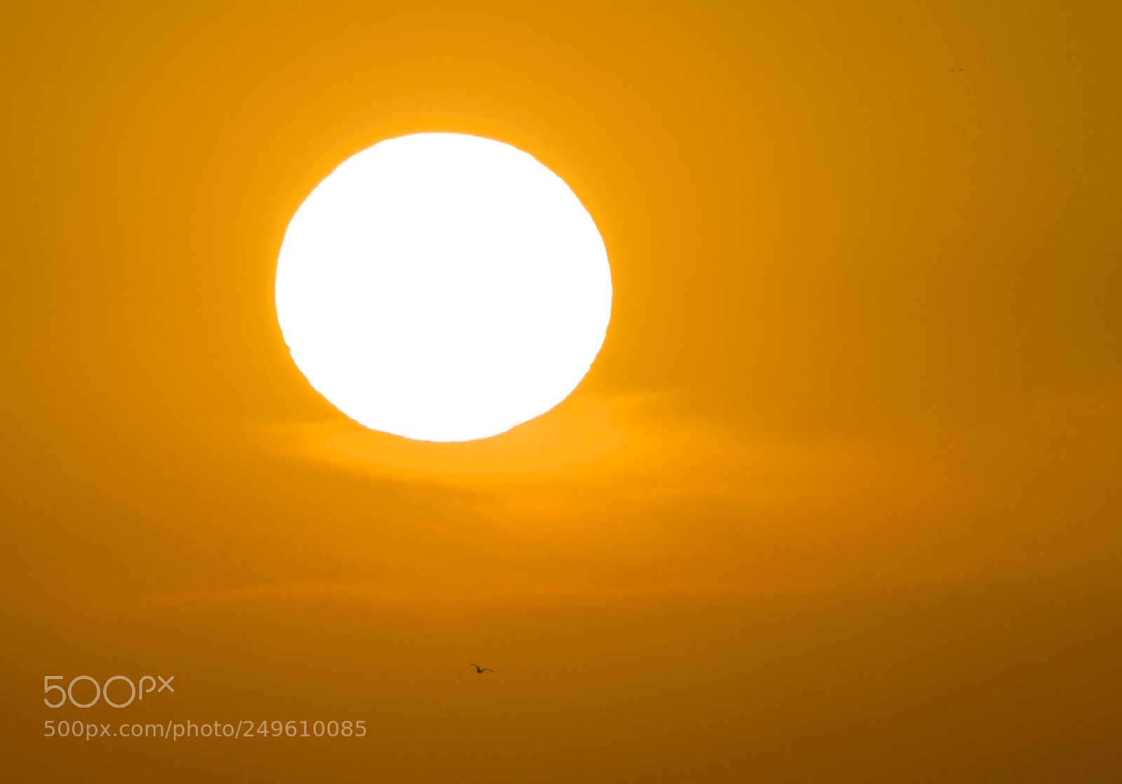 Nikon D3200 sample photo. A sunny day photography