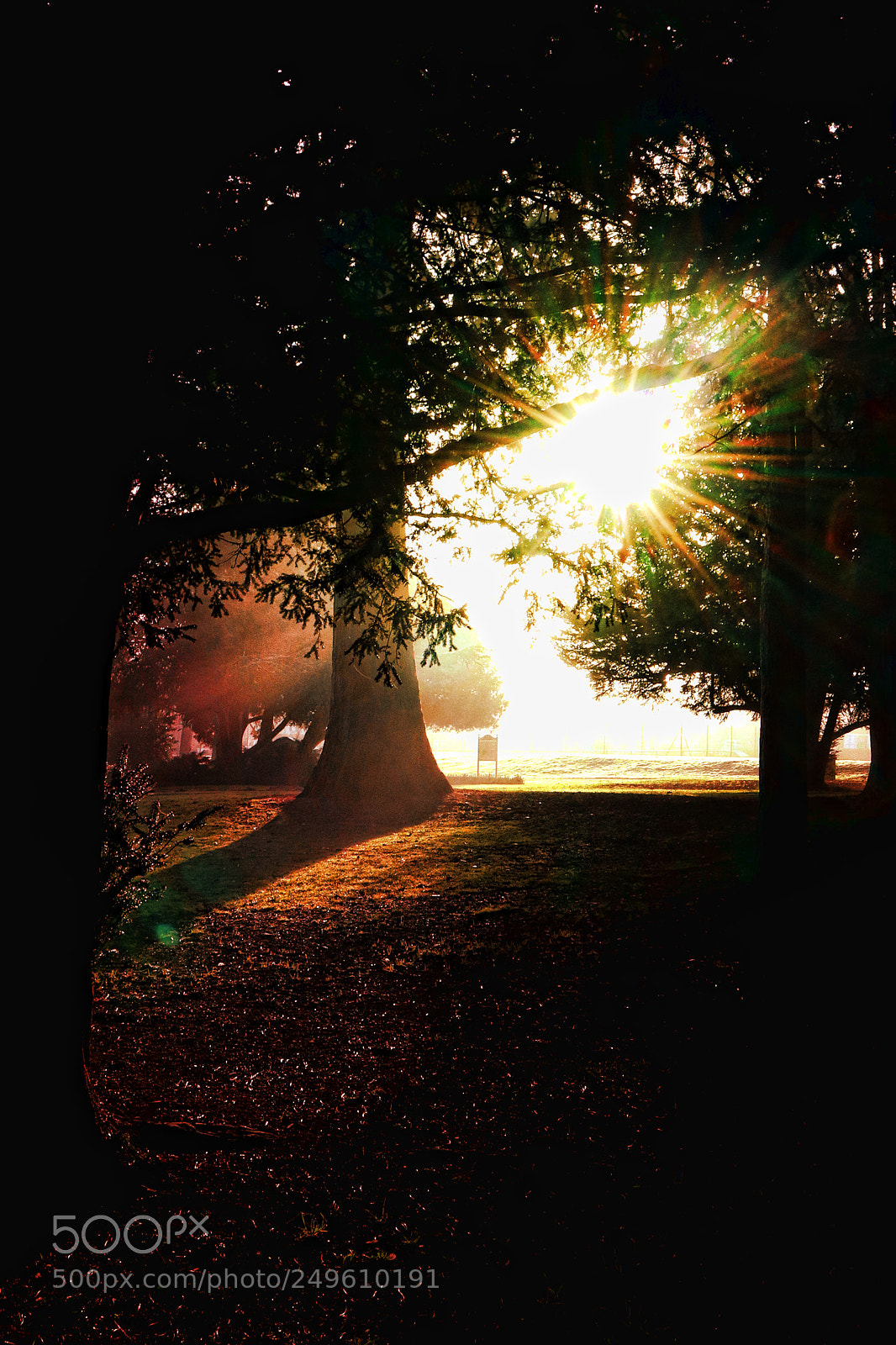 Canon EOS M5 sample photo. Sunstar and mist photography
