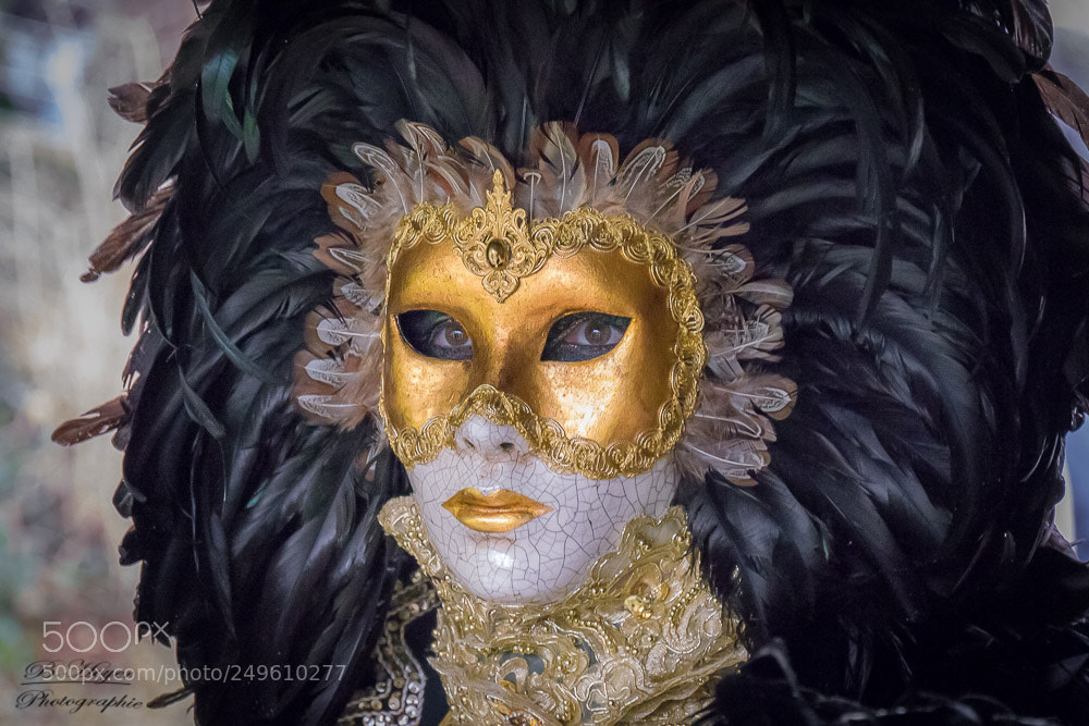 Panasonic Lumix DMC-G6 sample photo. Hallia venecia photography