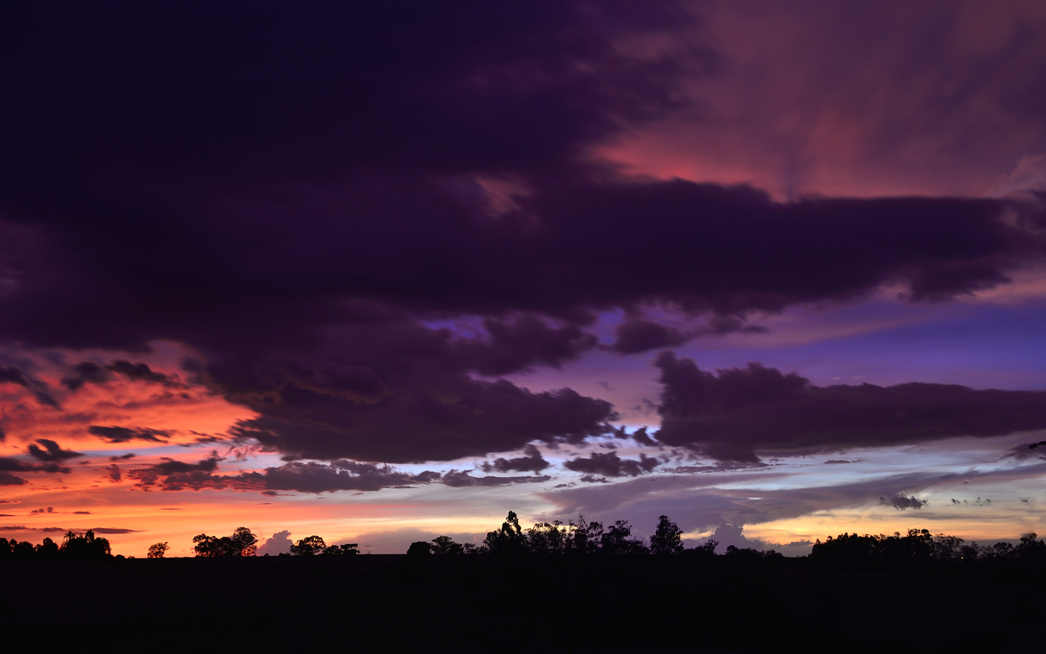 Nikon D610 sample photo. Shades of purple! photography