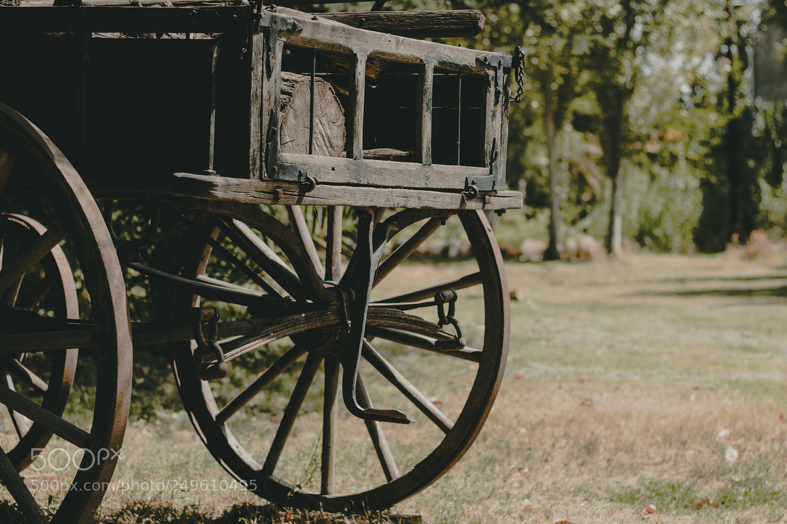 Canon EOS 750D (EOS Rebel T6i / EOS Kiss X8i) sample photo. Old wagon photography