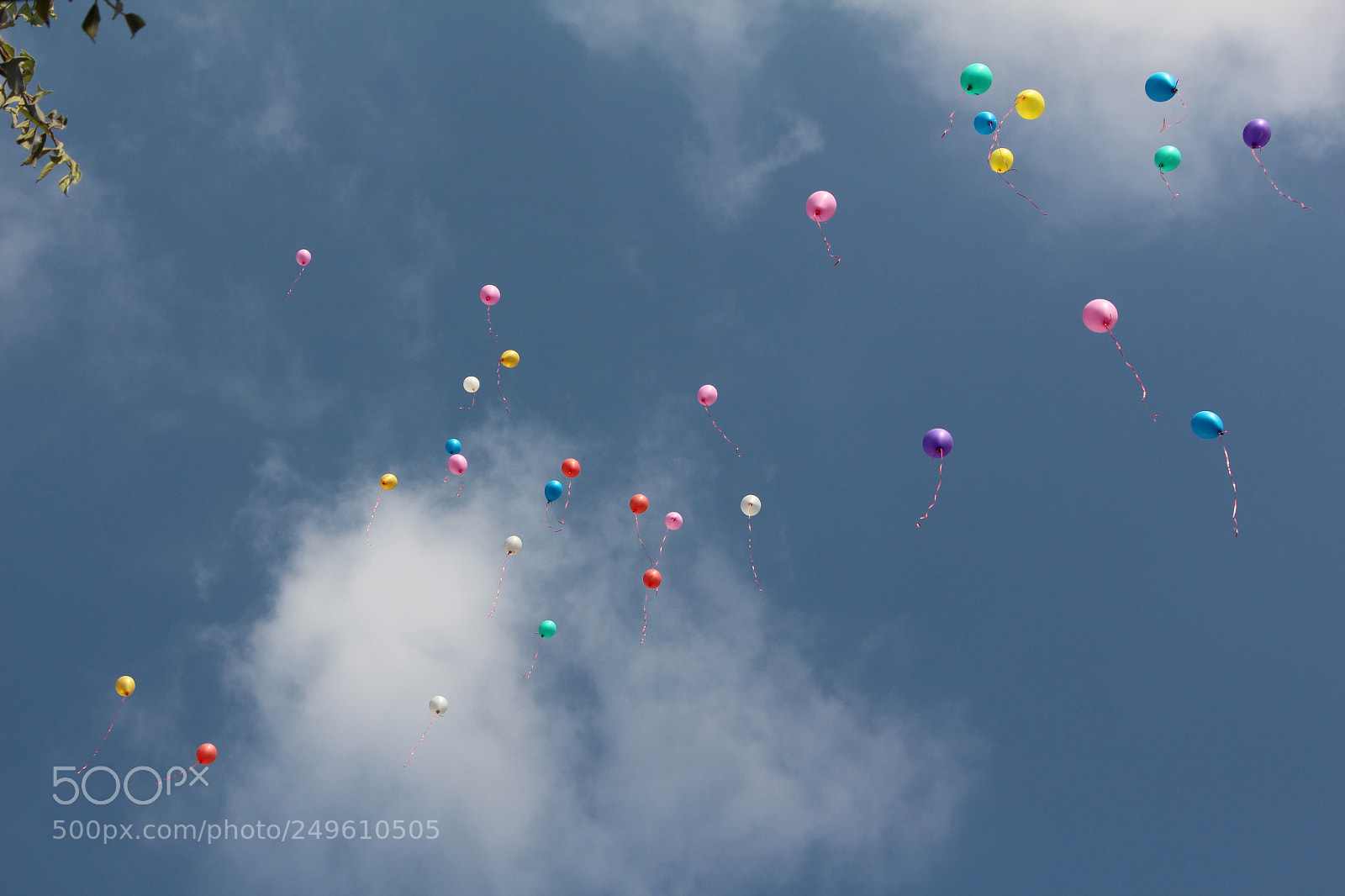 Canon EOS 650D (EOS Rebel T4i / EOS Kiss X6i) sample photo. Up to the sky photography