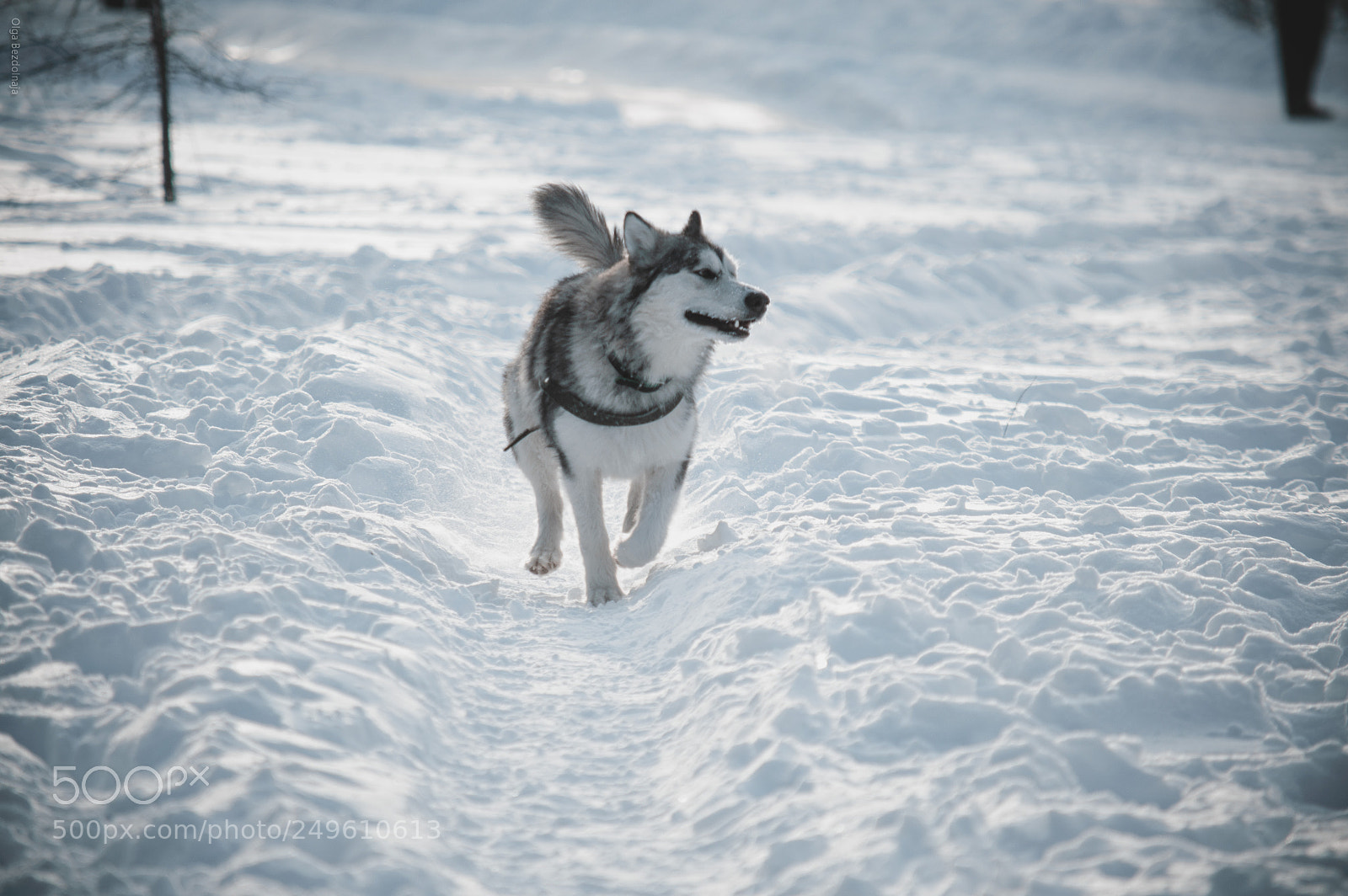 Nikon D3200 sample photo. Untitled photography
