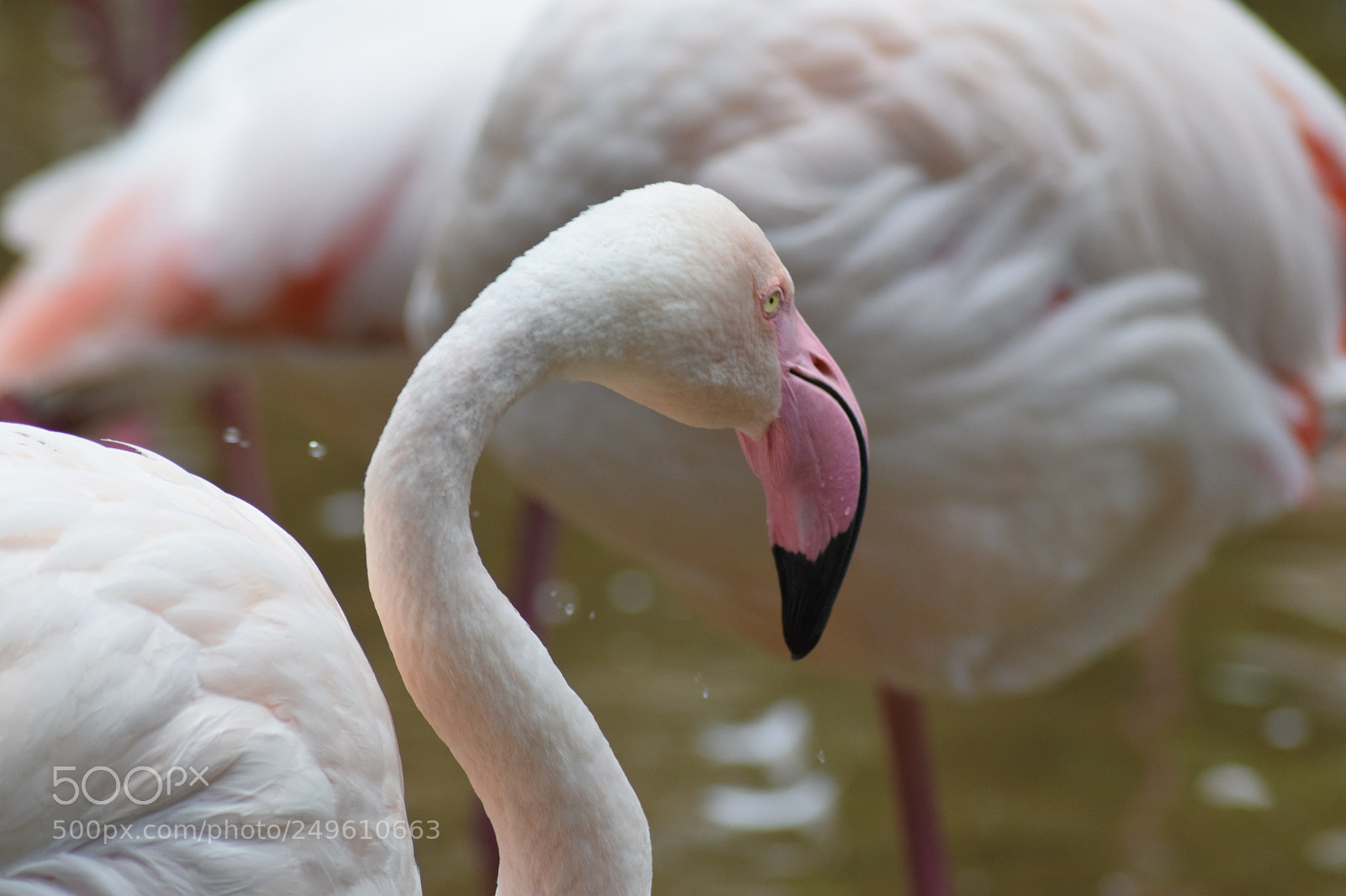 Nikon D5300 sample photo. () photography