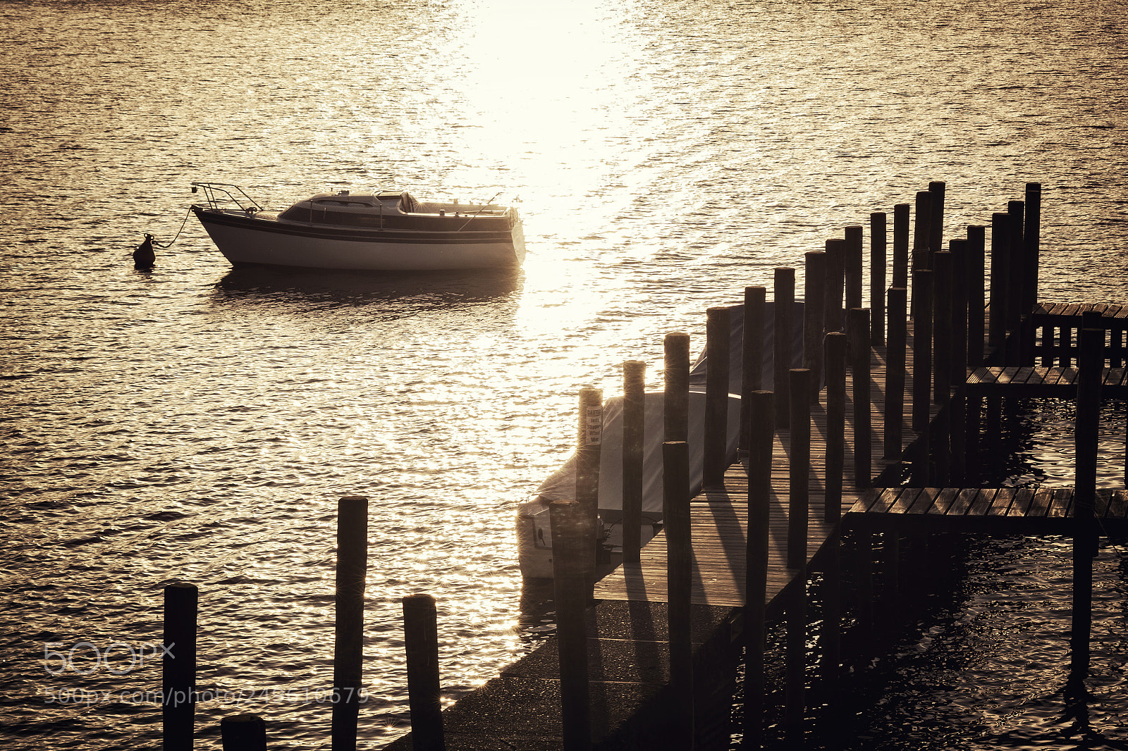 Canon EOS 50D sample photo. Golden hour photography