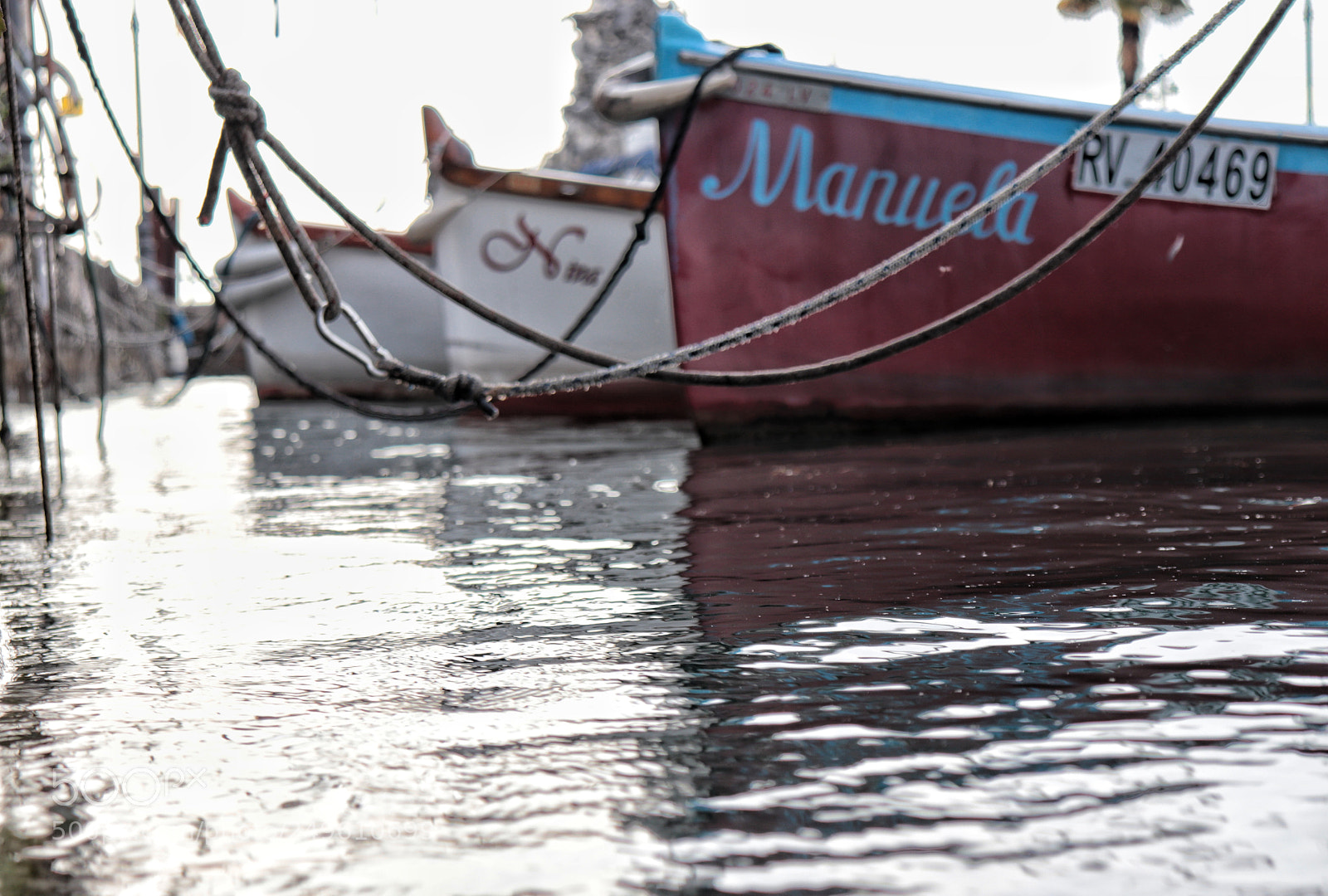 Canon EOS 77D (EOS 9000D / EOS 770D) sample photo. Barchette photography