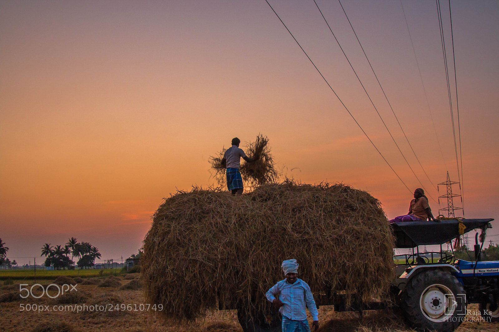Canon EOS 70D sample photo. The farmers photography