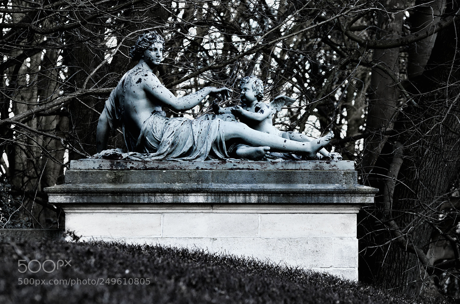Nikon D500 sample photo. Statue photography