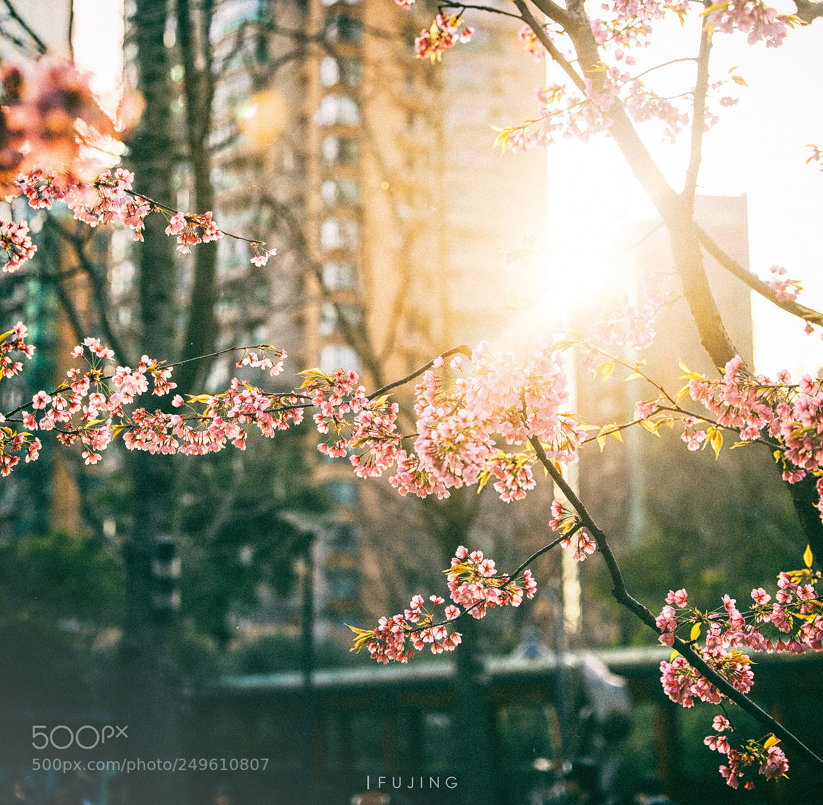 Canon EOS 5D Mark IV sample photo. Untitled photography