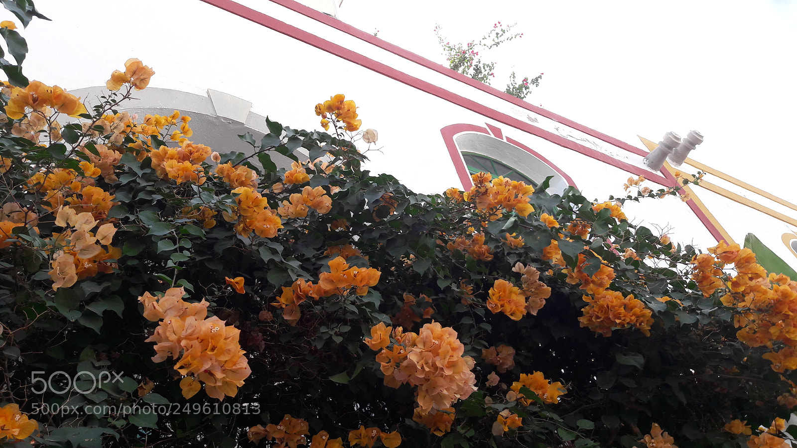 Samsung Galaxy A5(2016) sample photo. 20180106_124647.jpg photography
