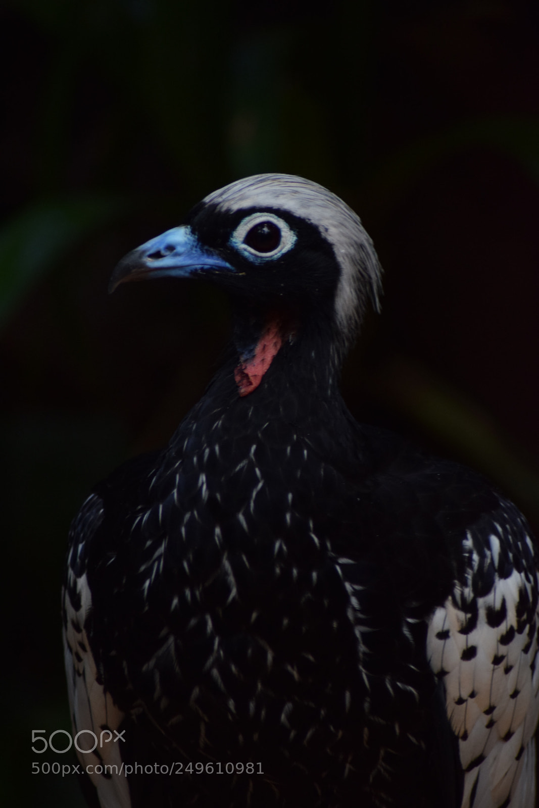 Nikon D5300 sample photo. () photography