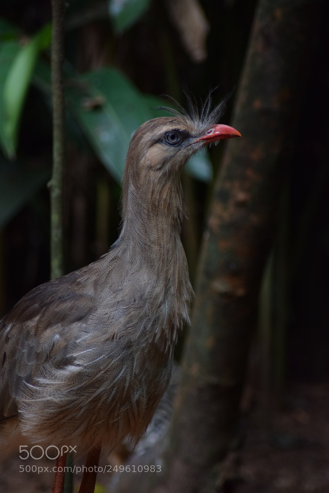 Nikon D5300 sample photo. () photography
