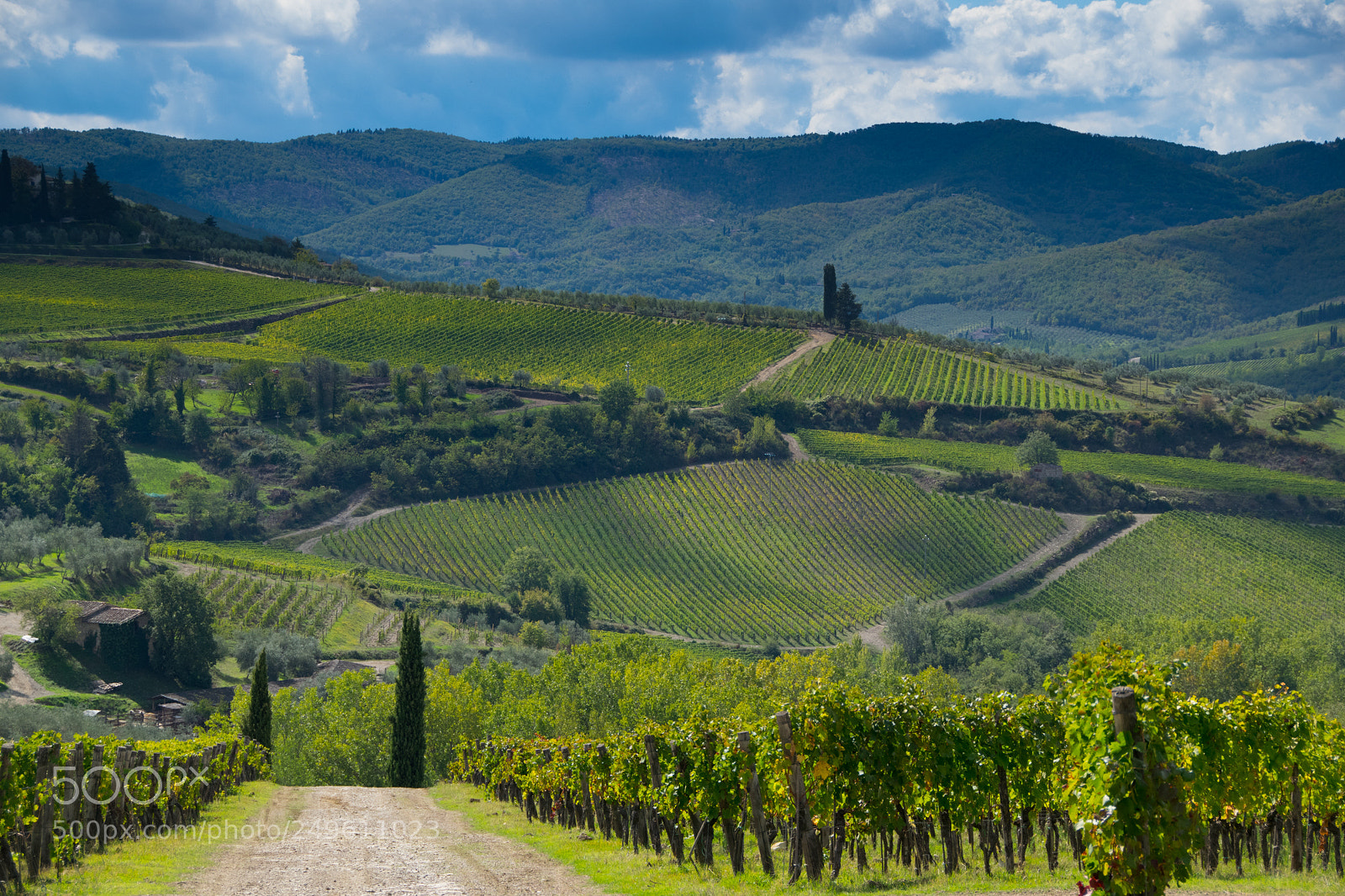 Nikon D3300 sample photo. Autumn in tuscany photography