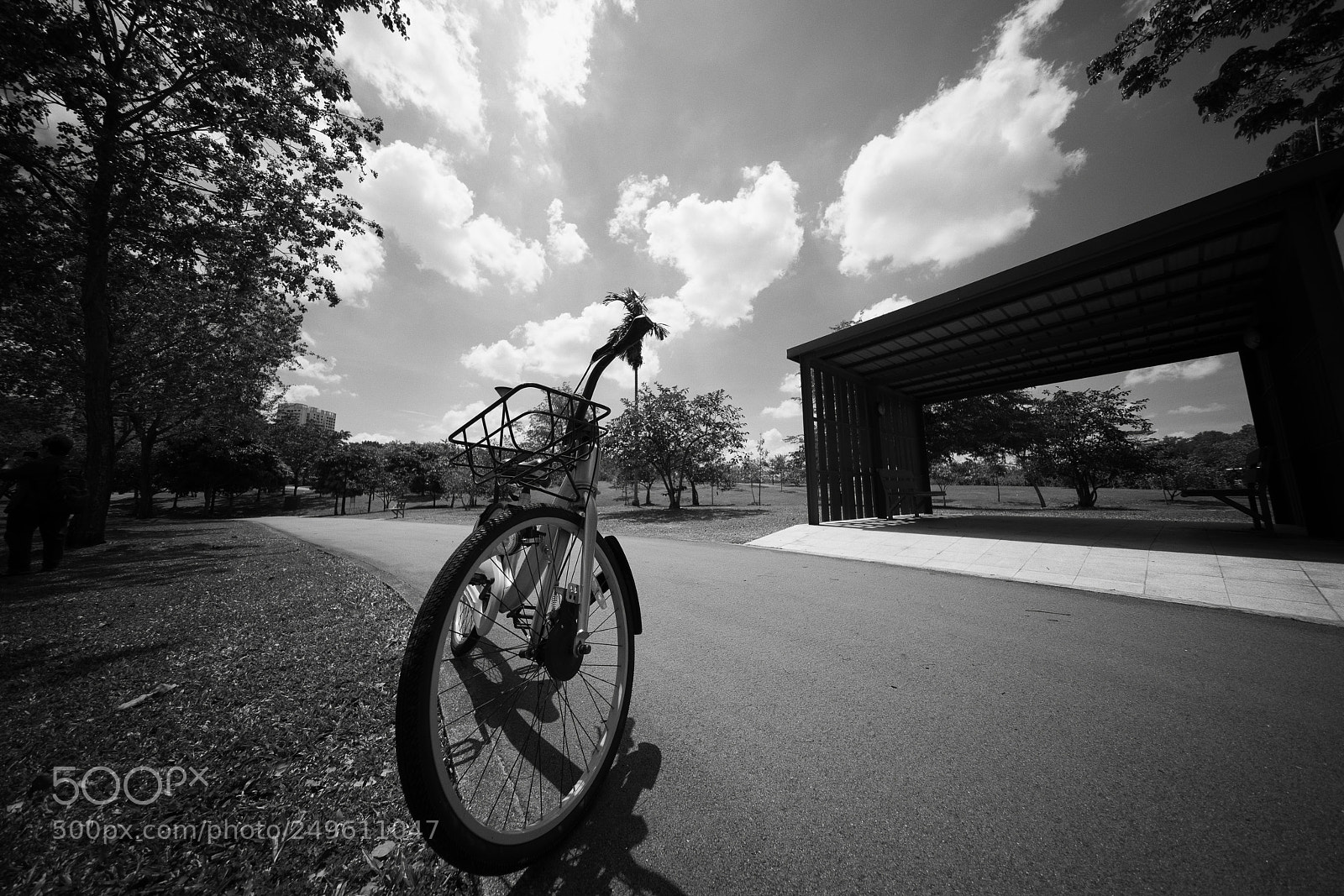 Sony a7R II sample photo. Bicycle photography