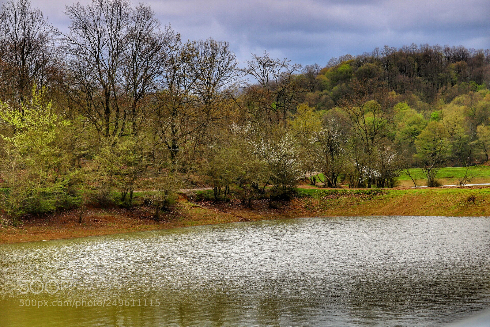 Canon EOS 750D (EOS Rebel T6i / EOS Kiss X8i) sample photo. Lakeside photography