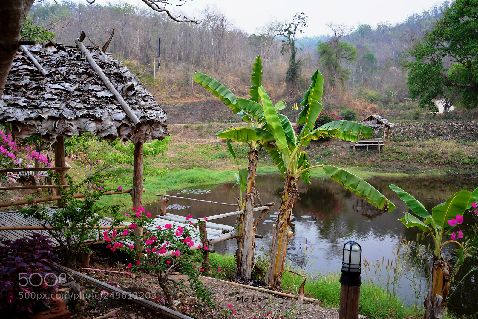 Nikon D7100 sample photo. Village thaï photography