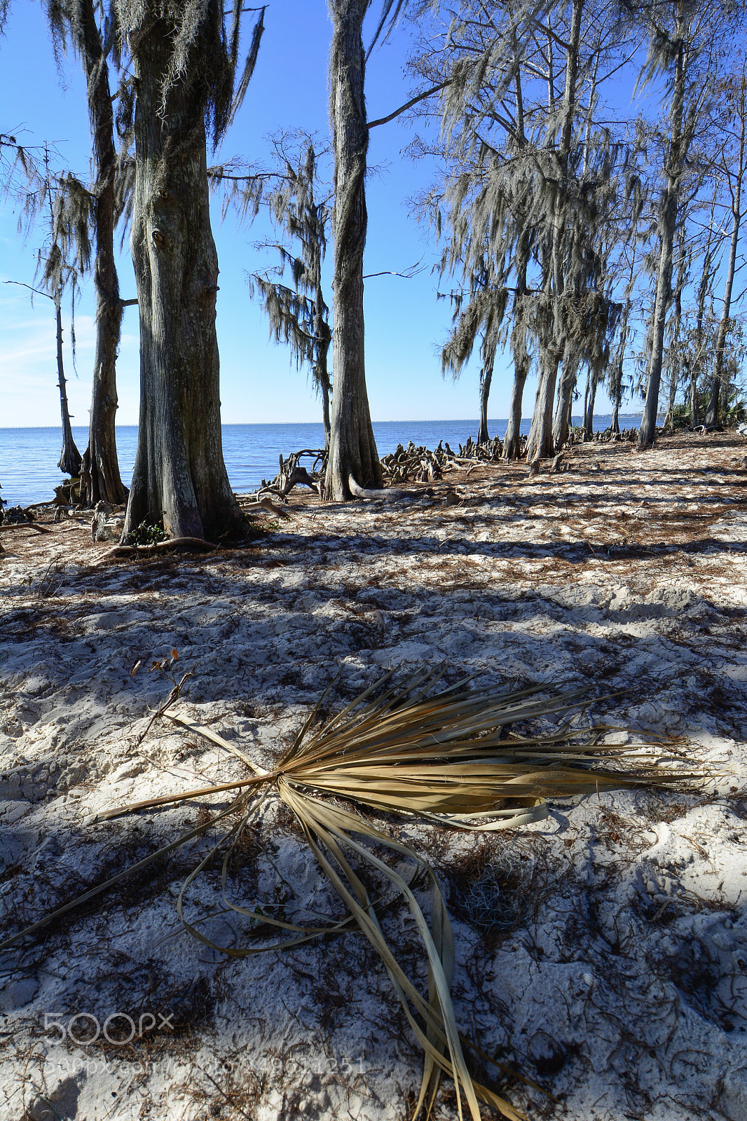 Nikon D7100 sample photo. Fontainebleau beach photography