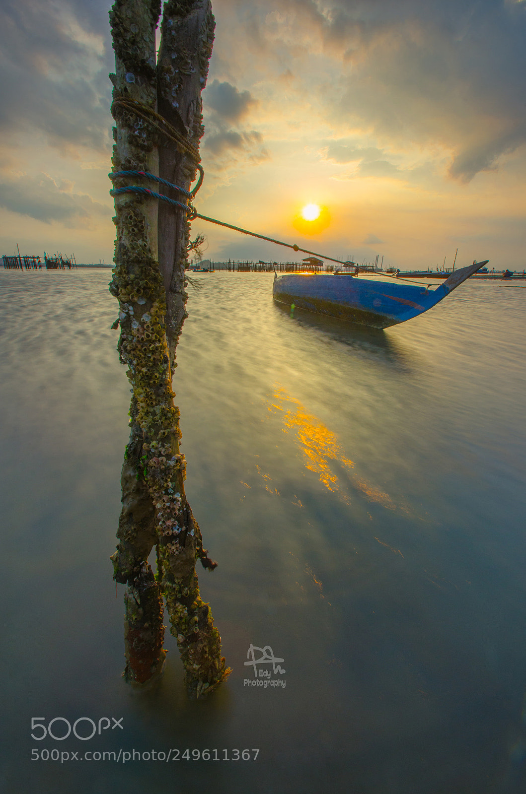 Nikon D5100 sample photo. Untitled photography