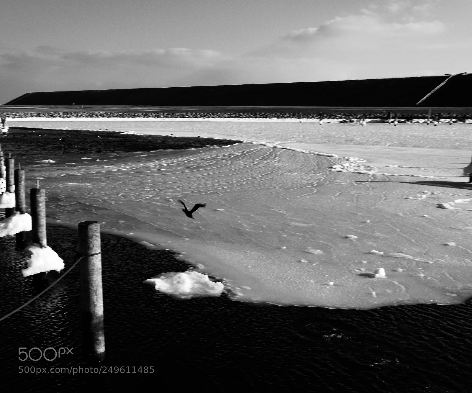Canon EOS 77D (EOS 9000D / EOS 770D) sample photo. Winter photography