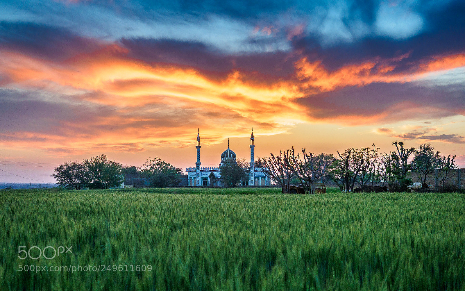 Olympus OM-D E-M1 Mark II sample photo. Sunset - village life photography