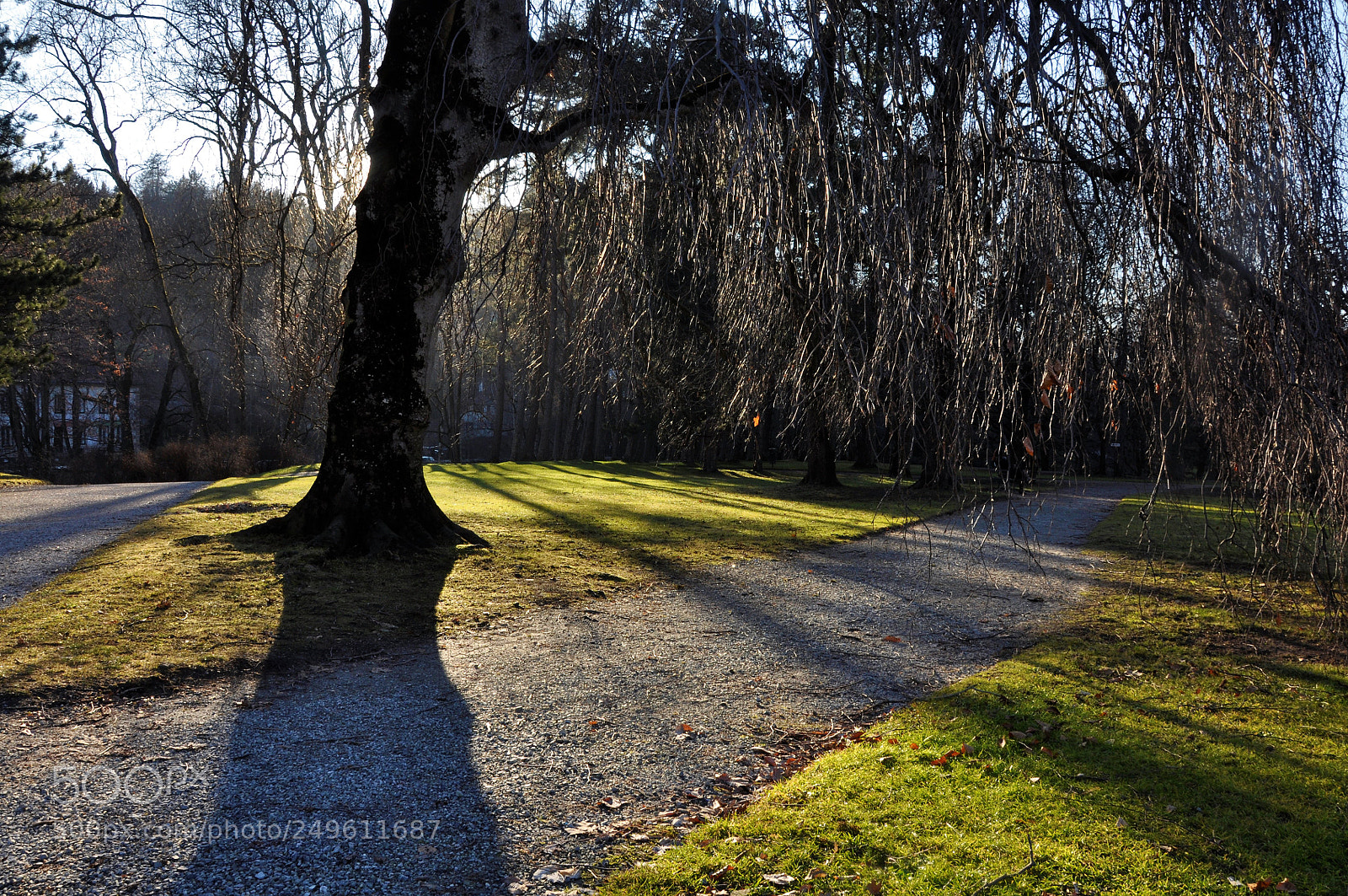 Nikon D90 sample photo. Path shade photography