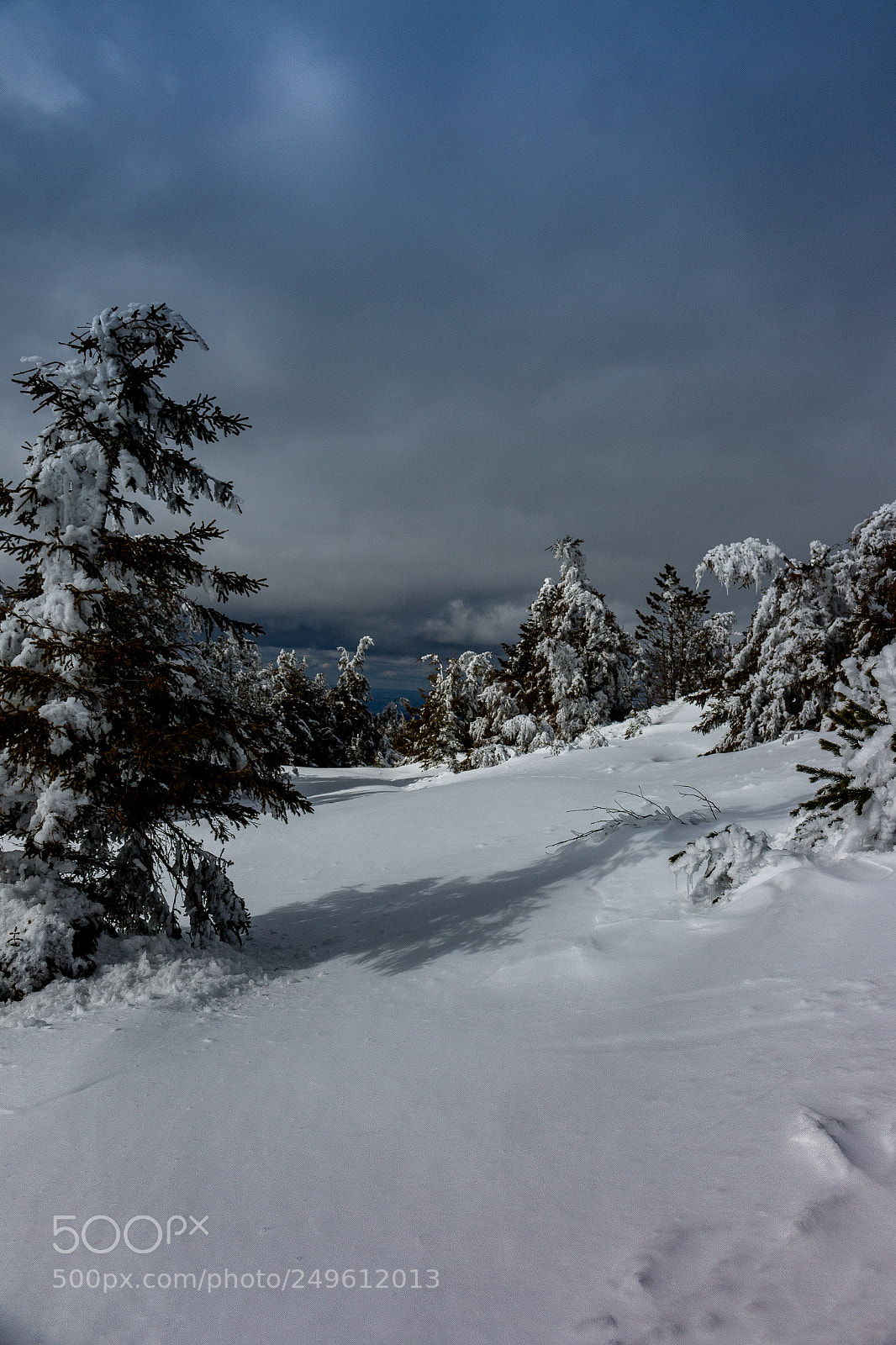 Canon EOS 70D sample photo. Mezenc photography