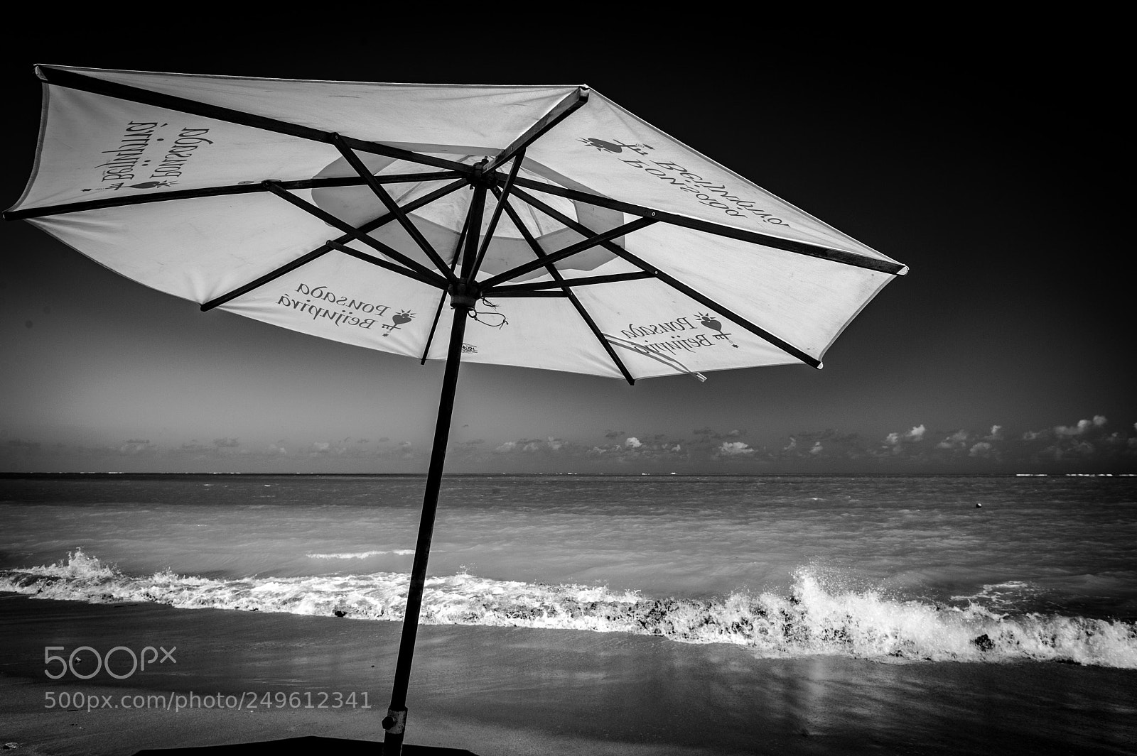 Nikon D3S sample photo. Umbrella  photography