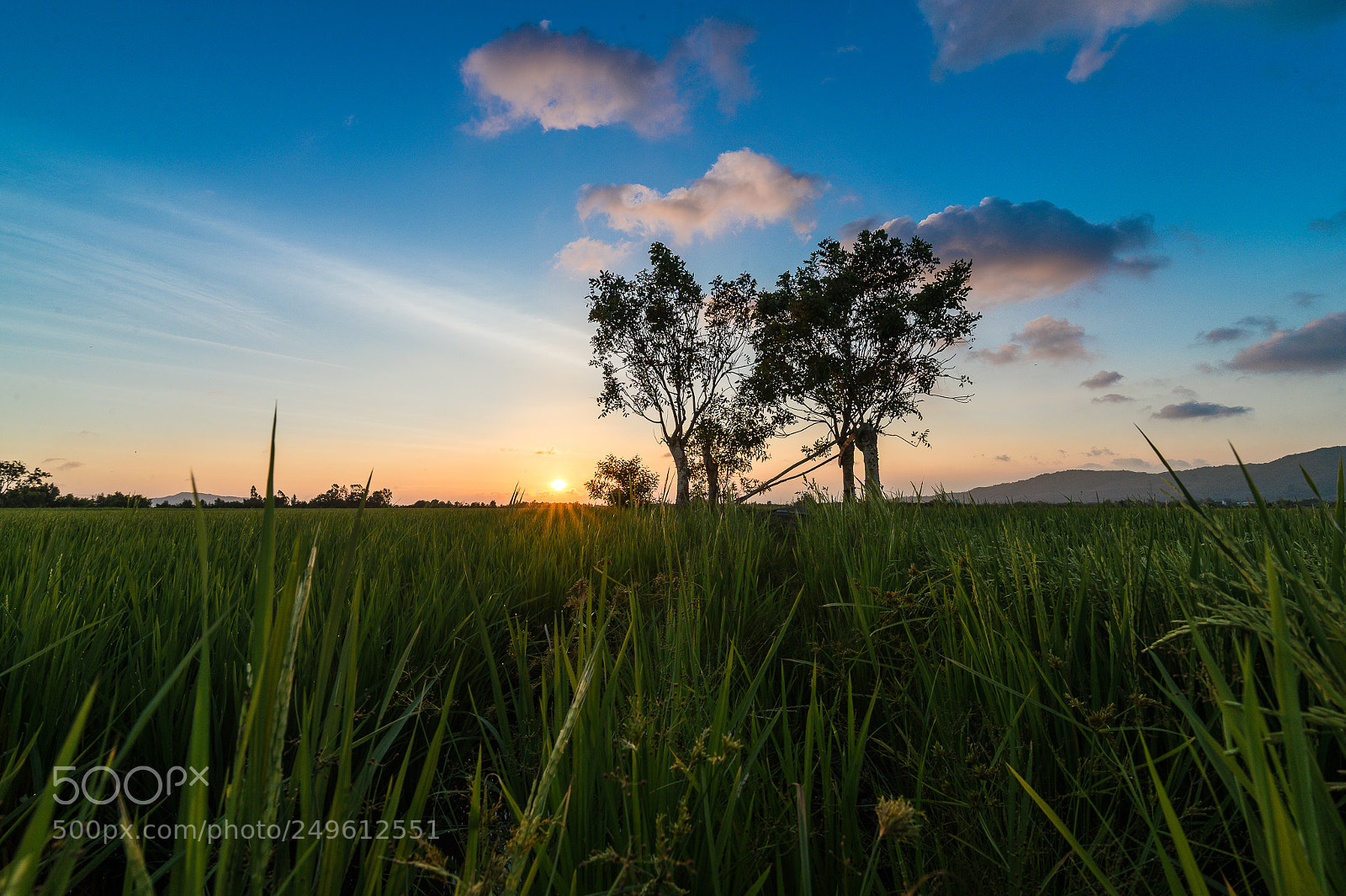 Nikon Df sample photo. Untitled photography