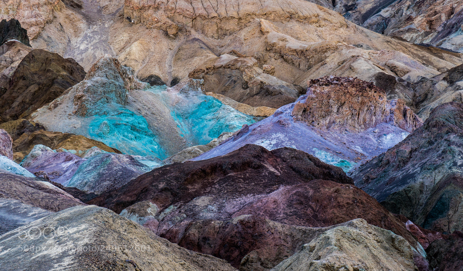 Sony a6500 sample photo. Artists palette photography