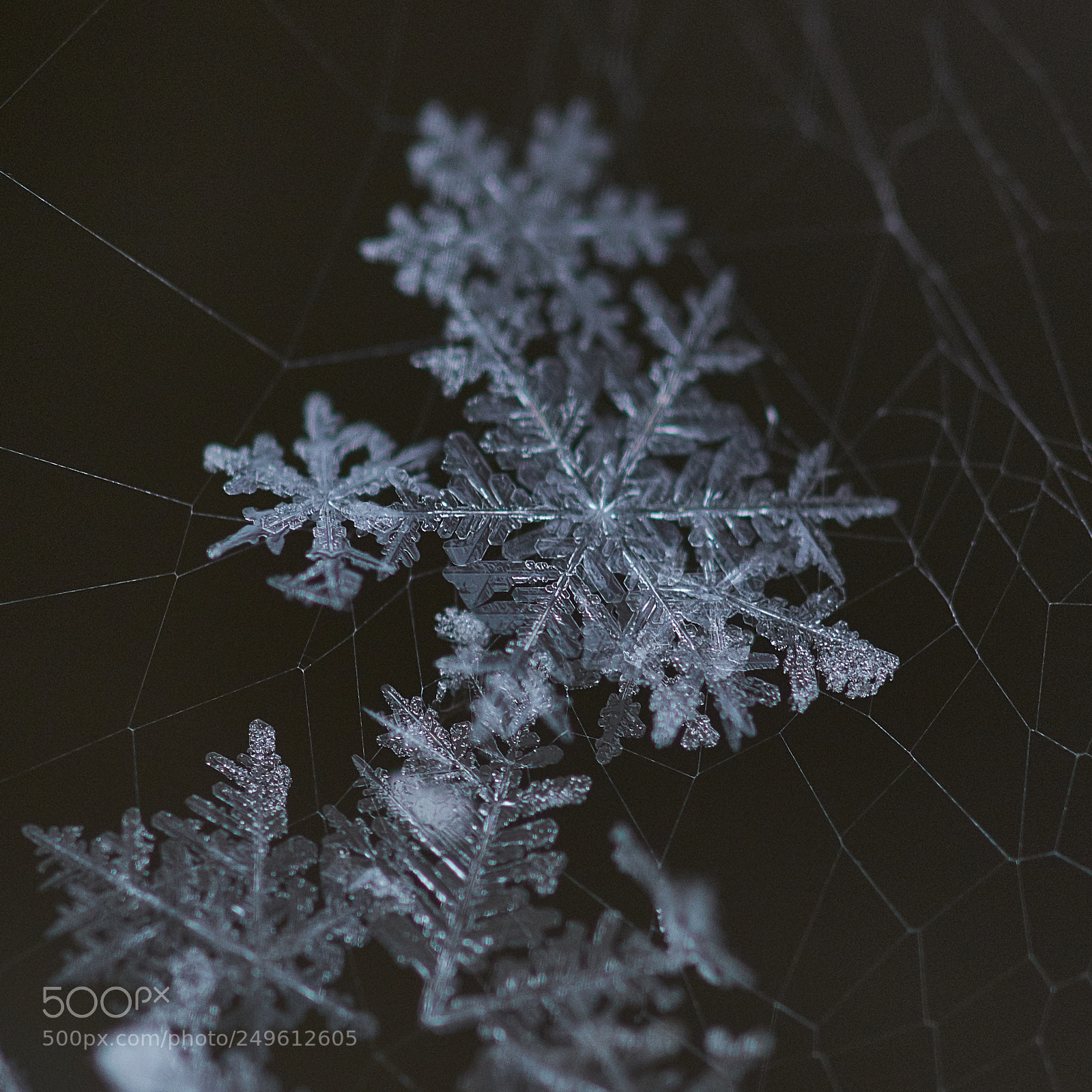 Nikon D7200 sample photo. Snow and ice photography
