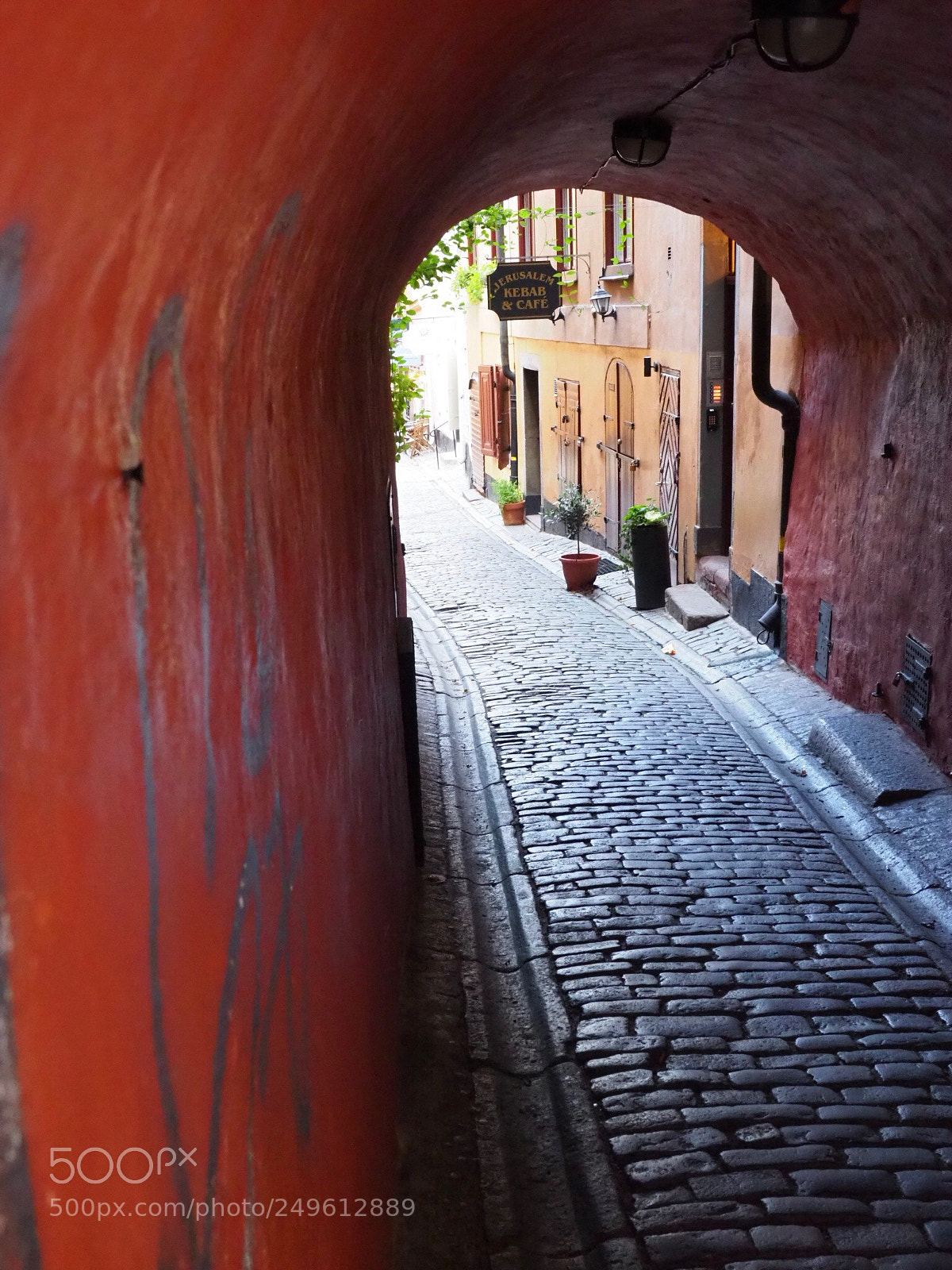 Olympus OM-D E-M1 Mark II sample photo. One view from the photography
