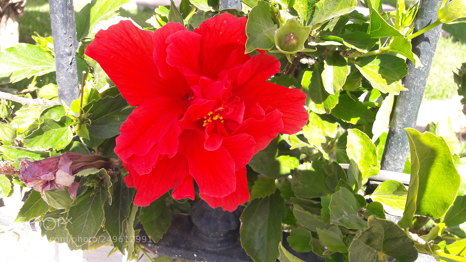 Samsung Galaxy A5(2016) sample photo. 20180106_131256.jpg photography