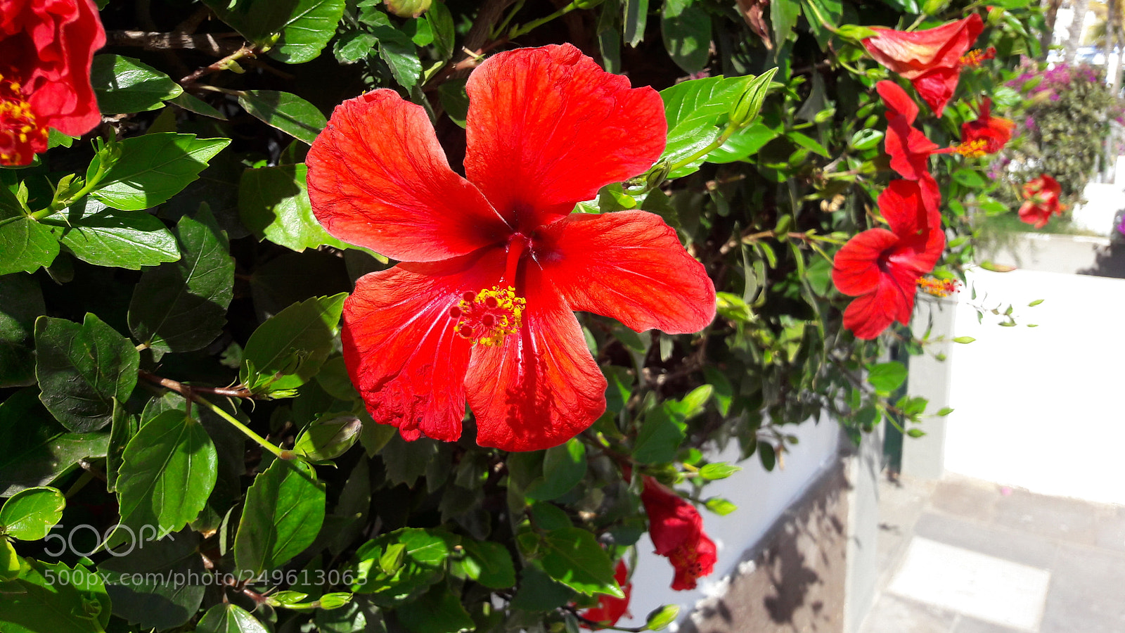 Samsung Galaxy A5(2016) sample photo. 20180106_131341.jpg photography