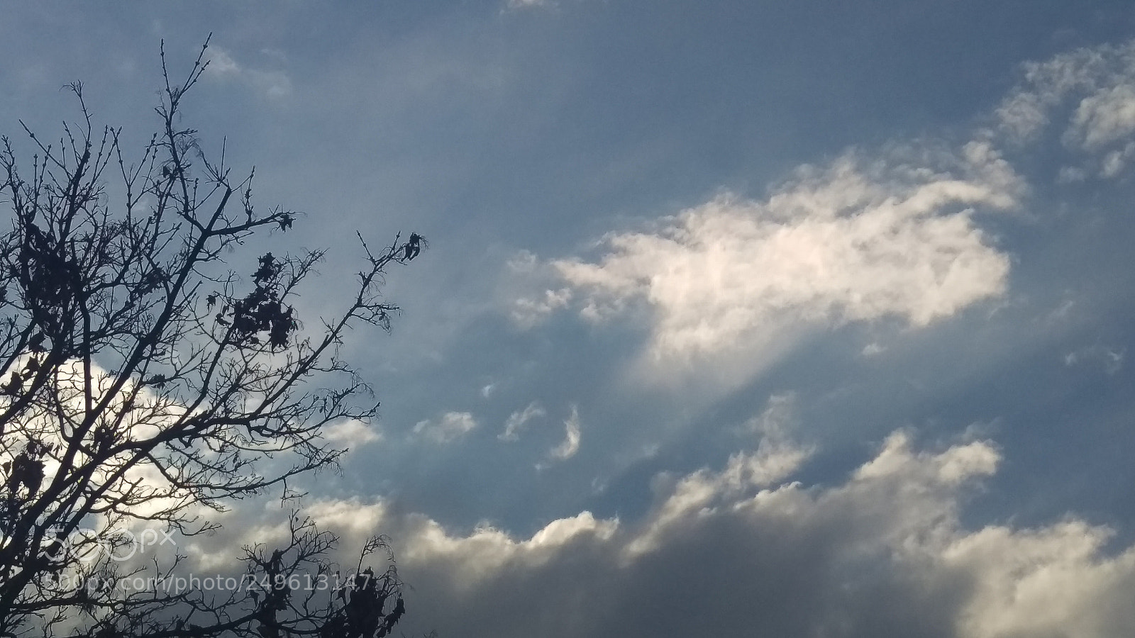 HTC ONE M9 sample photo. A long winter has photography