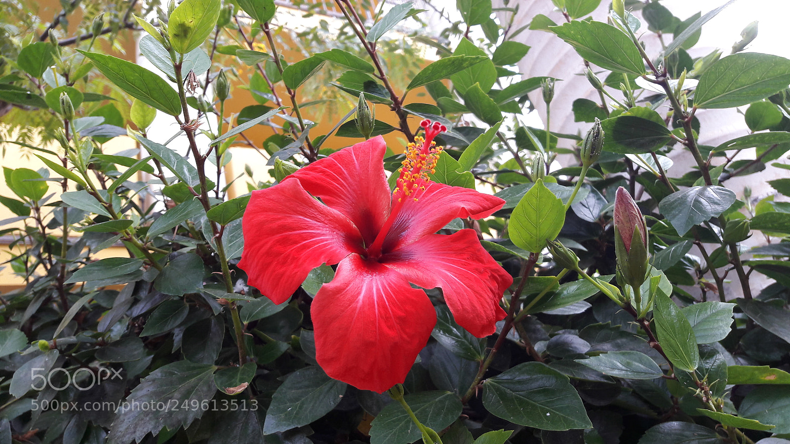 Samsung Galaxy A5(2016) sample photo. 20180110_095736.jpg photography