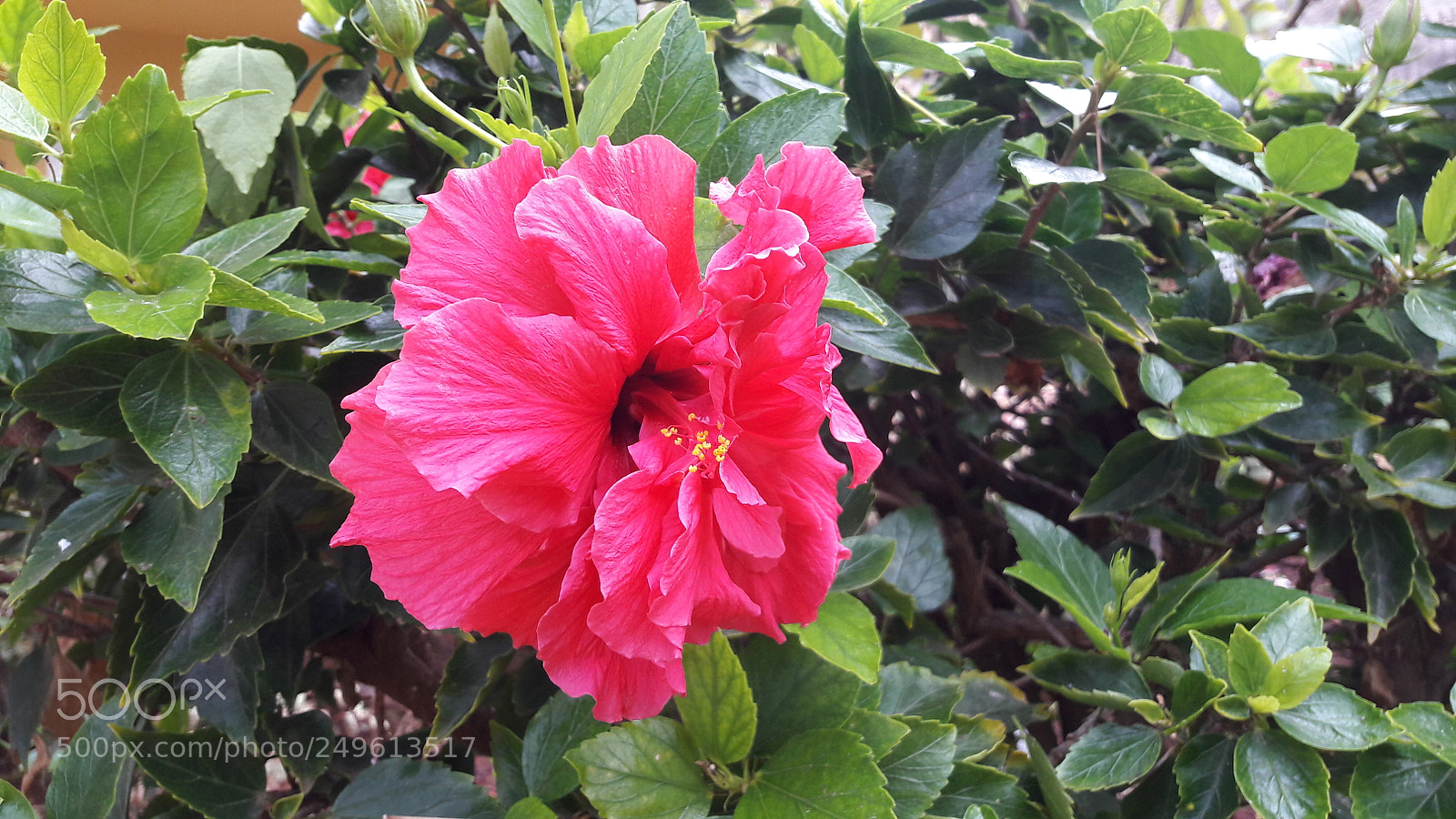 Samsung Galaxy A5(2016) sample photo. 20180110_095719.jpg photography