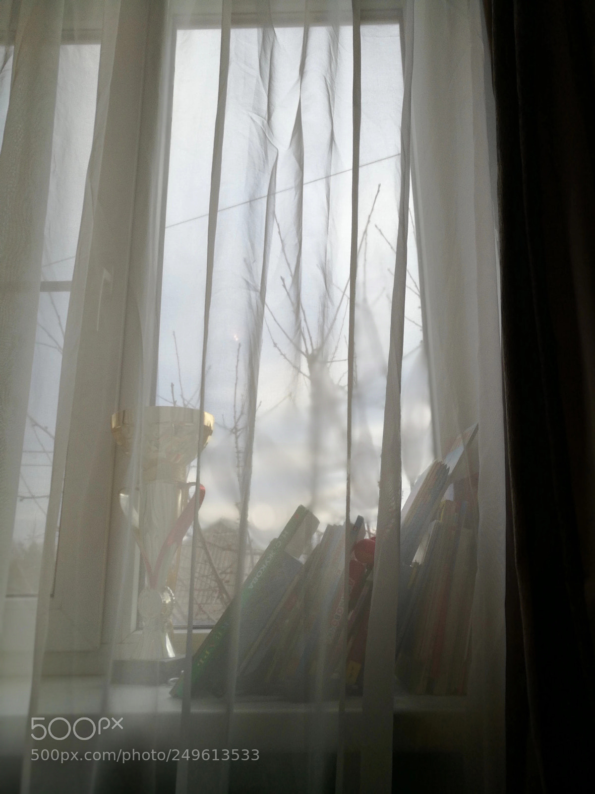 HUAWEI Honor 8 sample photo. Untitled photography