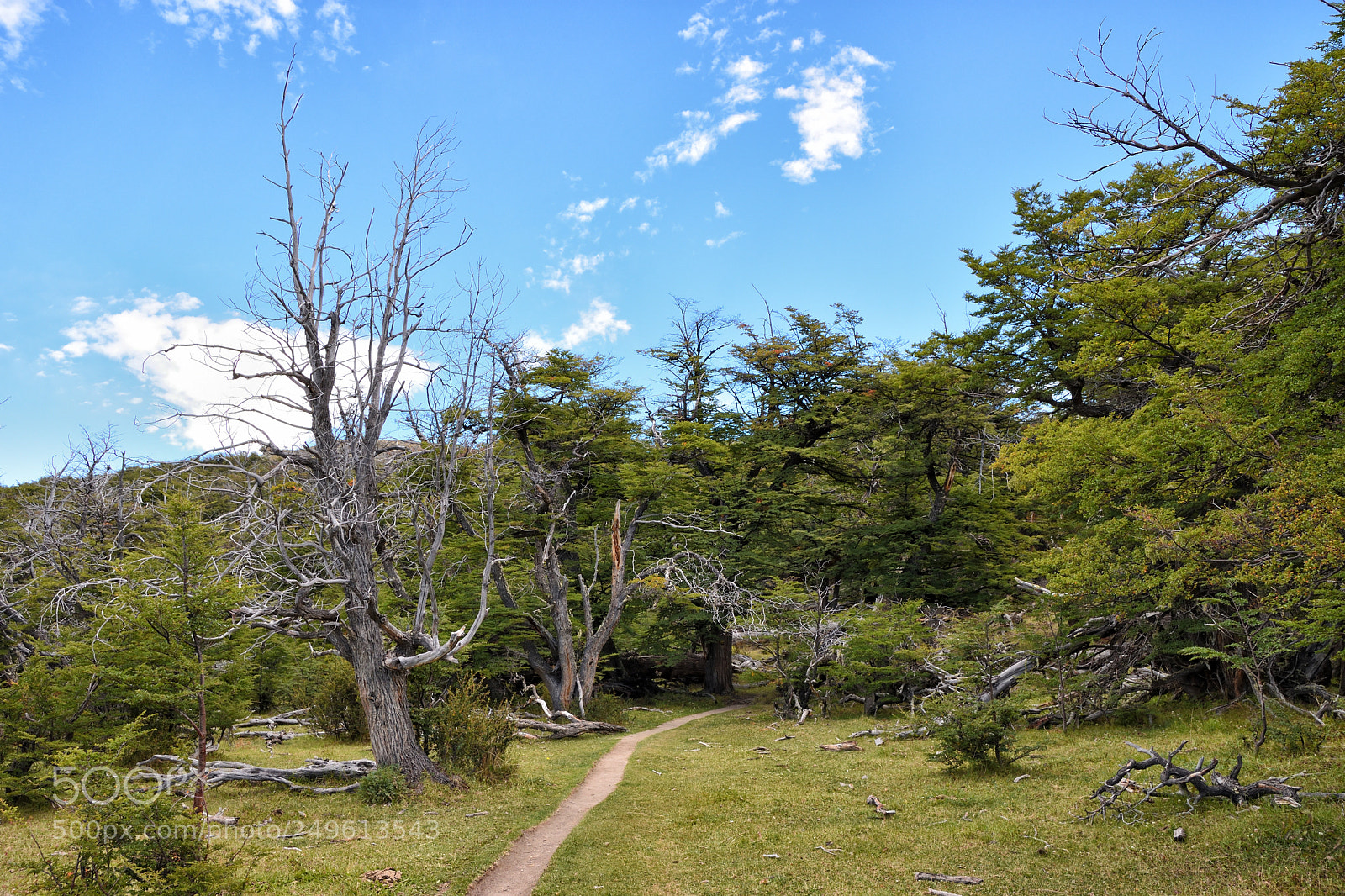 Nikon D7200 sample photo. El chalten trail photography