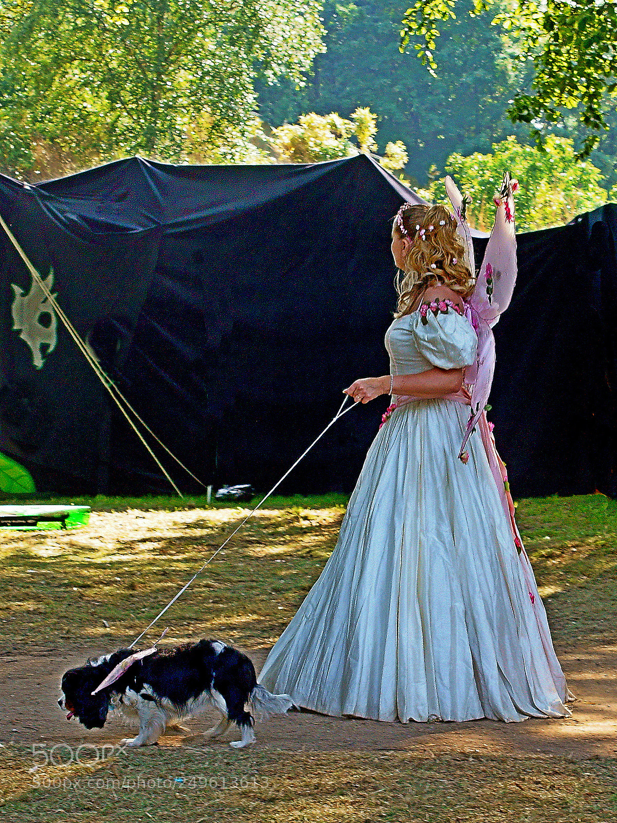 Sony SLT-A55 (SLT-A55V) sample photo. Time for the dog photography